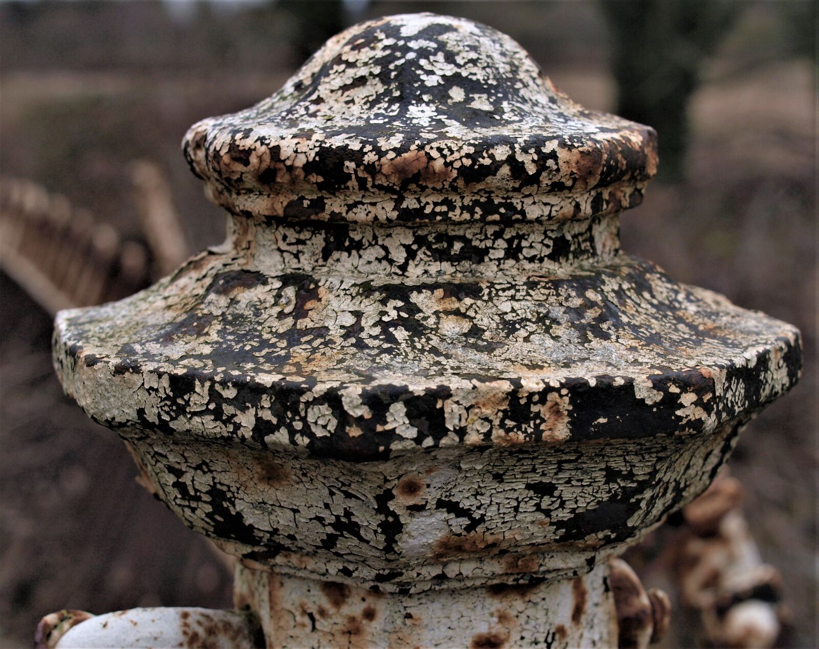 Olympus E-520 (EVOLT E-520) sample photo. Old, nature, ancient photography