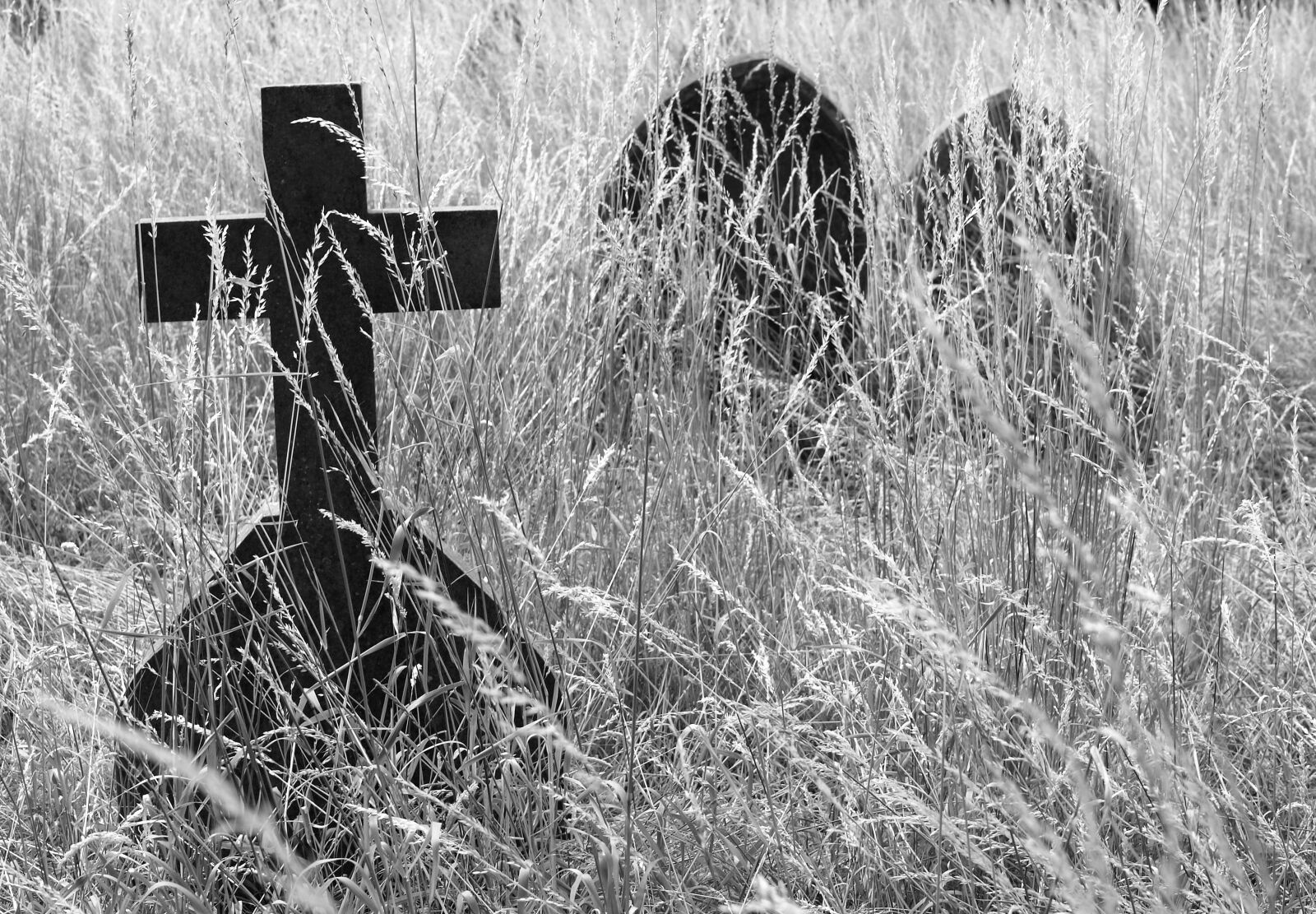 Olympus E-520 (EVOLT E-520) sample photo. Cross, cemetary, gravestone photography