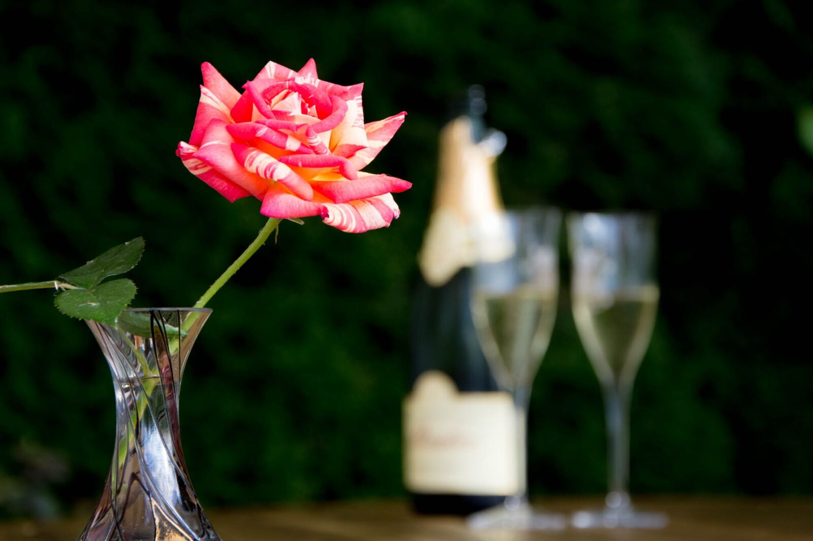 Nikon D7200 sample photo. Aperitif, pink, champagne photography