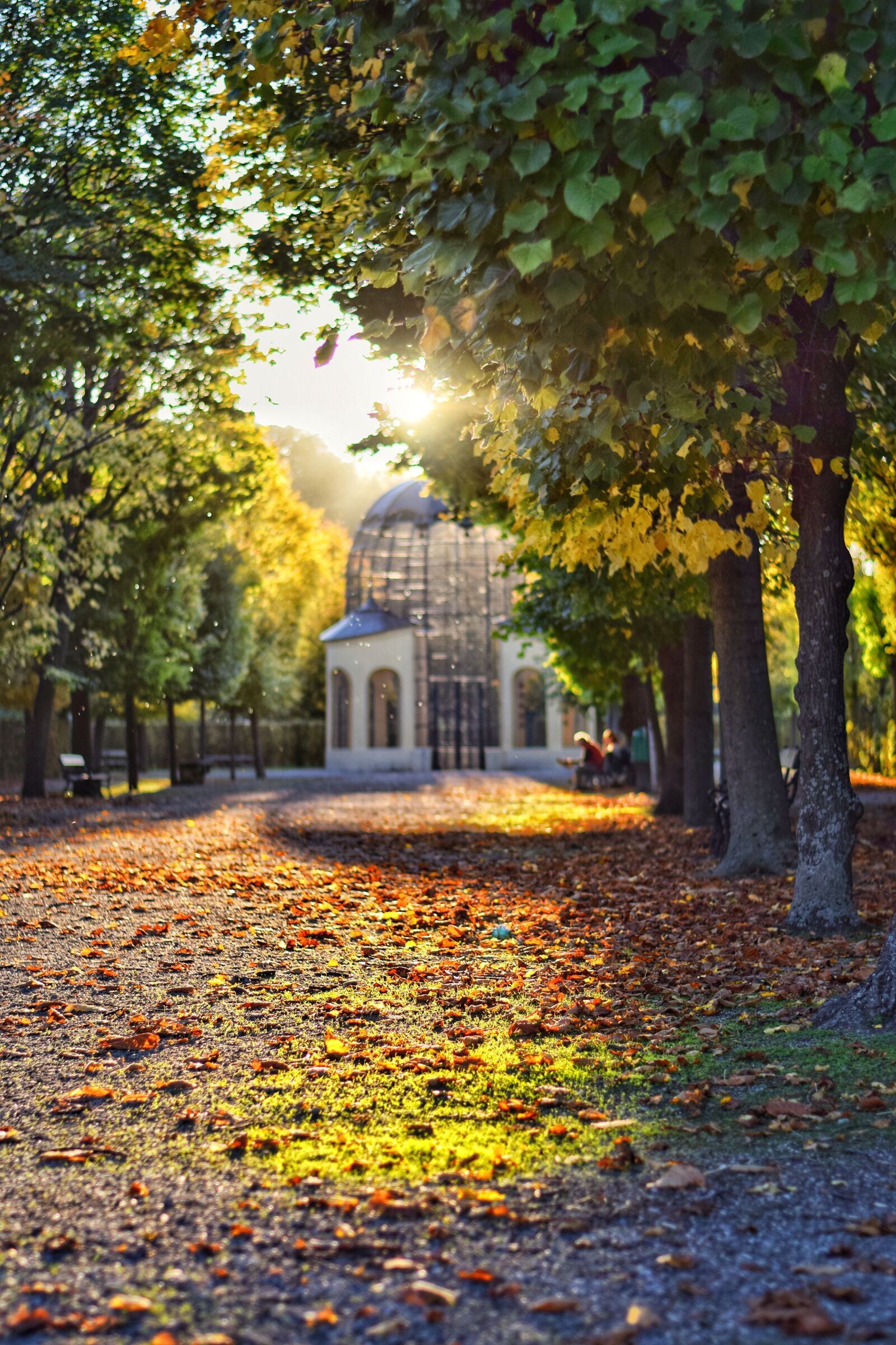 Nikon D5300 sample photo. Schönbrunn, vienna, austria photography