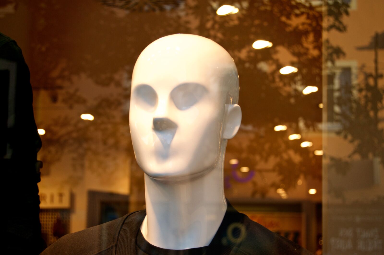 Nikon D3200 sample photo. Face, head, doll photography