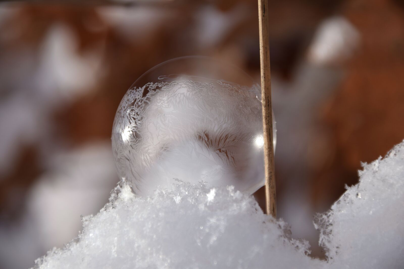 Nikon D3300 sample photo. Bubble, soap bubble, iridescent photography