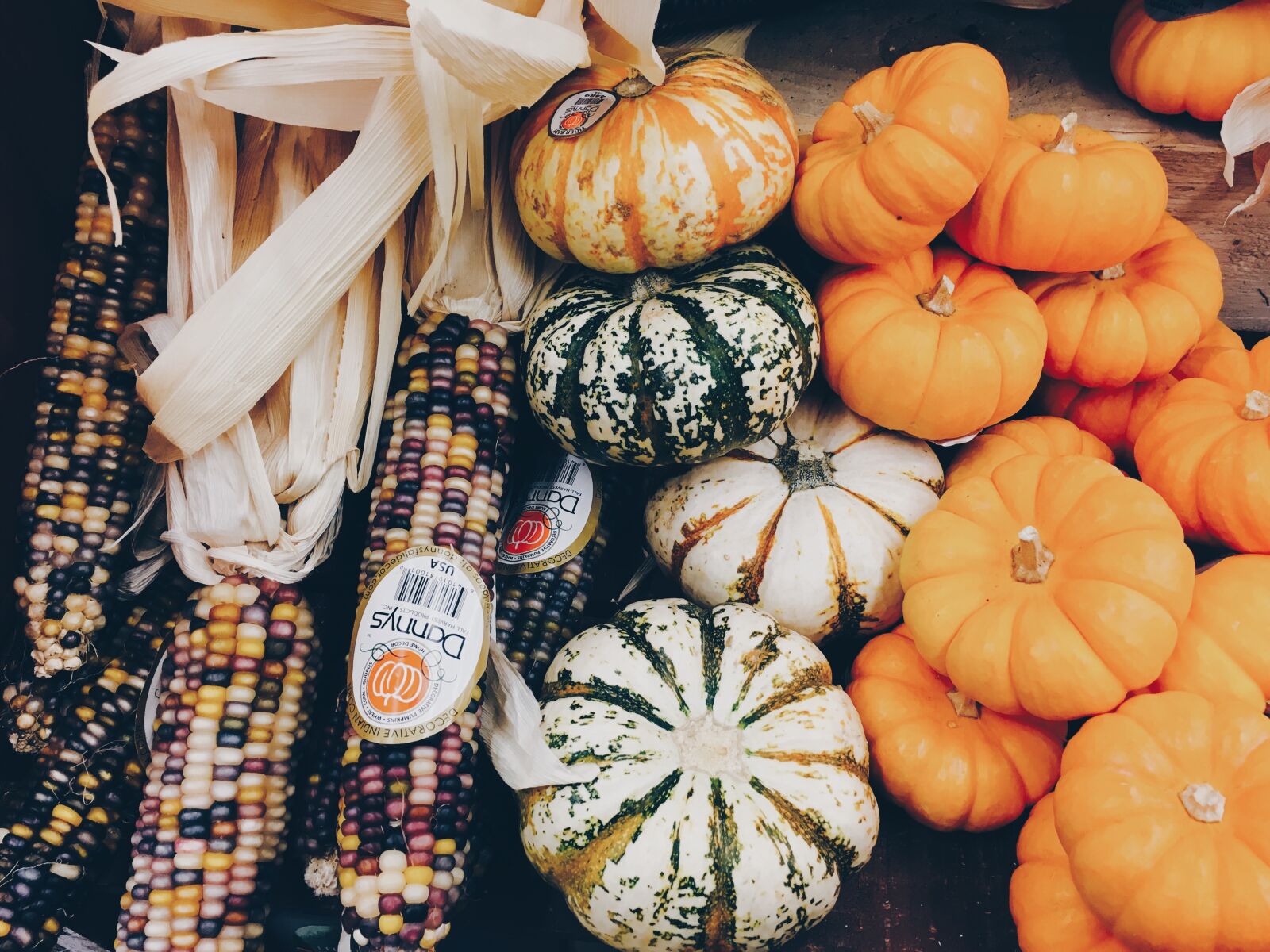 Apple iPhone 6s sample photo. Corn, fresh, pumpkins photography