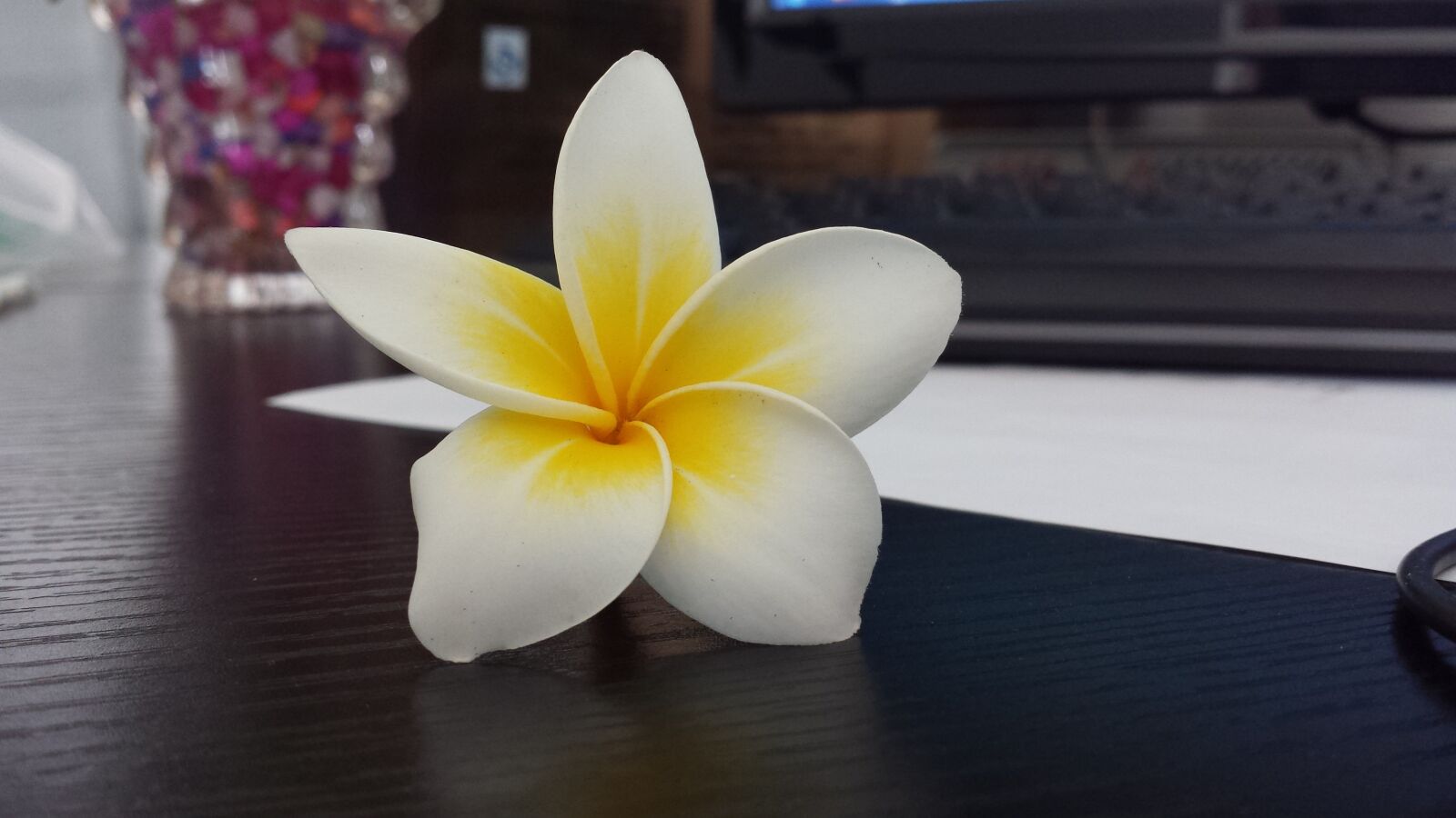 Samsung Galaxy S4 sample photo. Plumeria, white flower, rotate photography