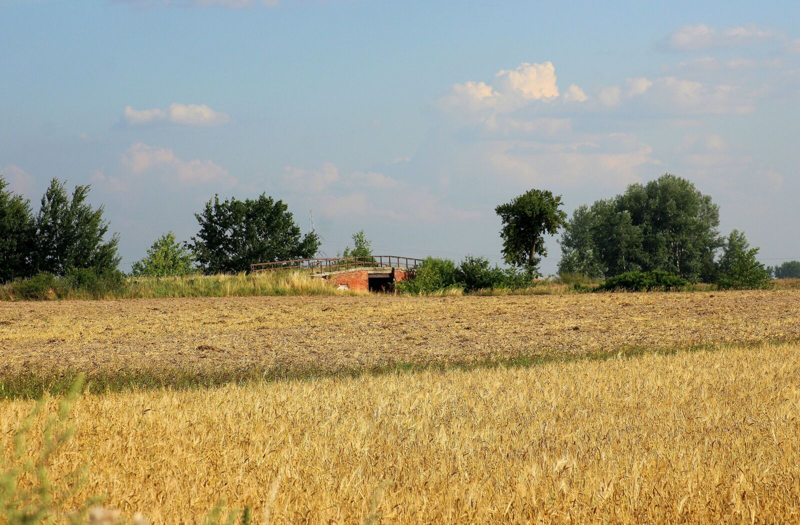 Canon EOS 1200D (EOS Rebel T5 / EOS Kiss X70 / EOS Hi) sample photo. Field, view, landscape rural photography
