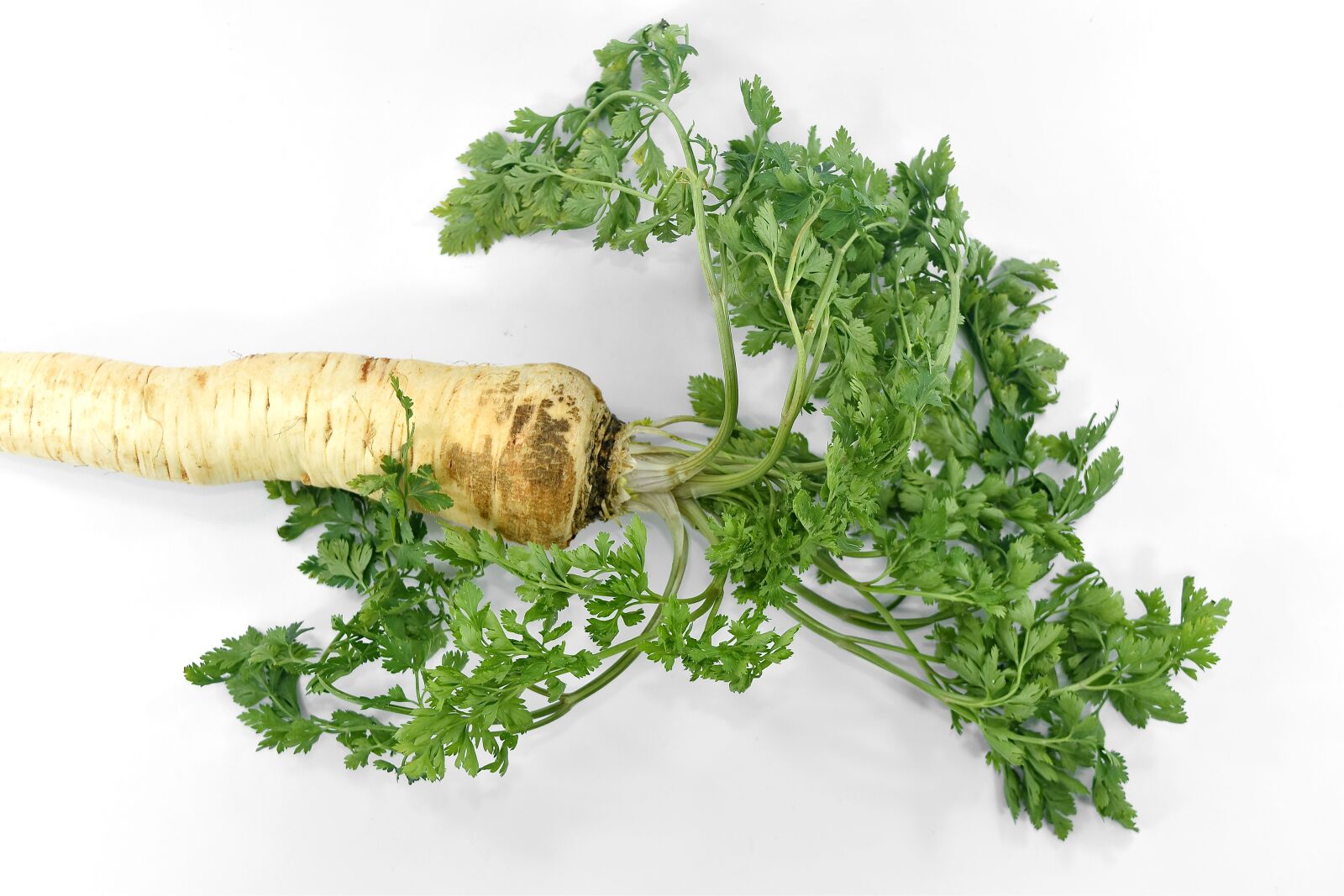 Nikon D5500 sample photo. Groceries, organic, parsley, vegetable photography