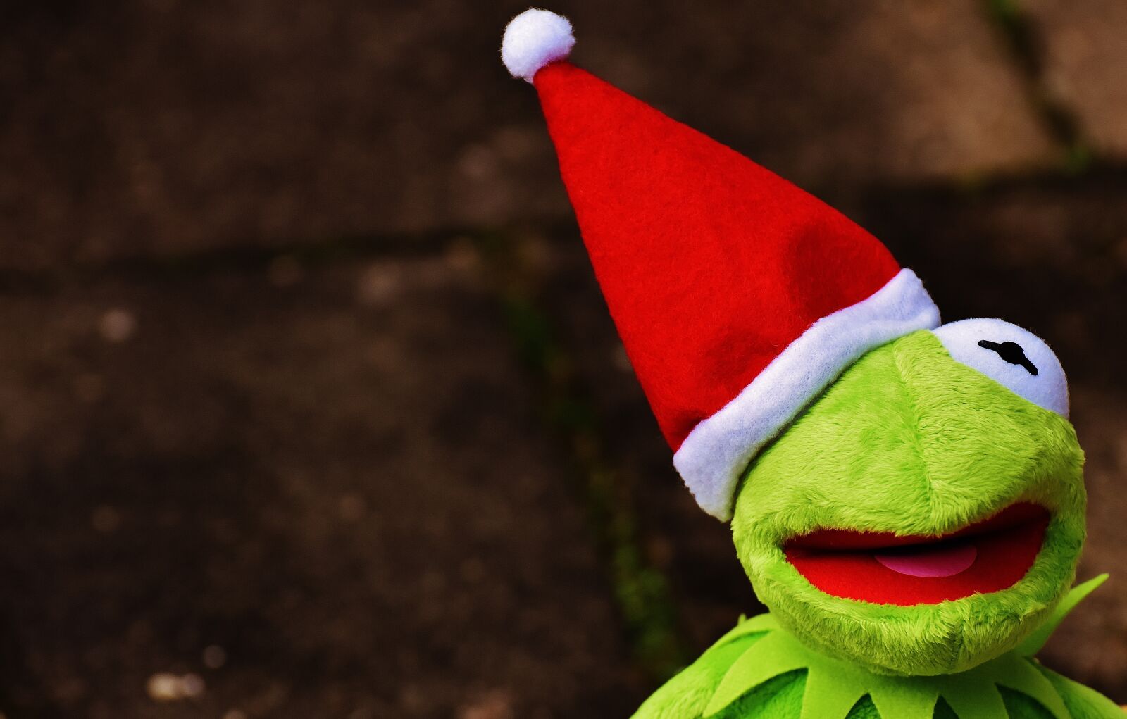 Nikon D7200 sample photo. Kermit, frog, christmas photography