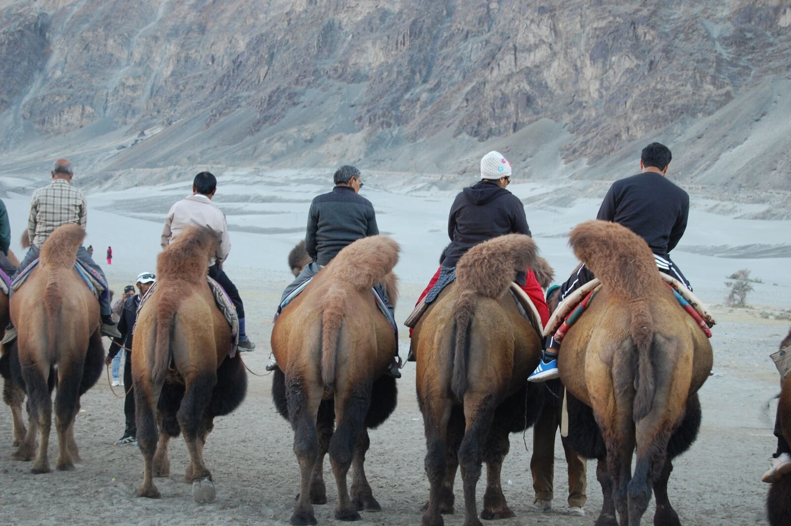 Nikon D40 sample photo. Hunder, ladakh, nubra photography