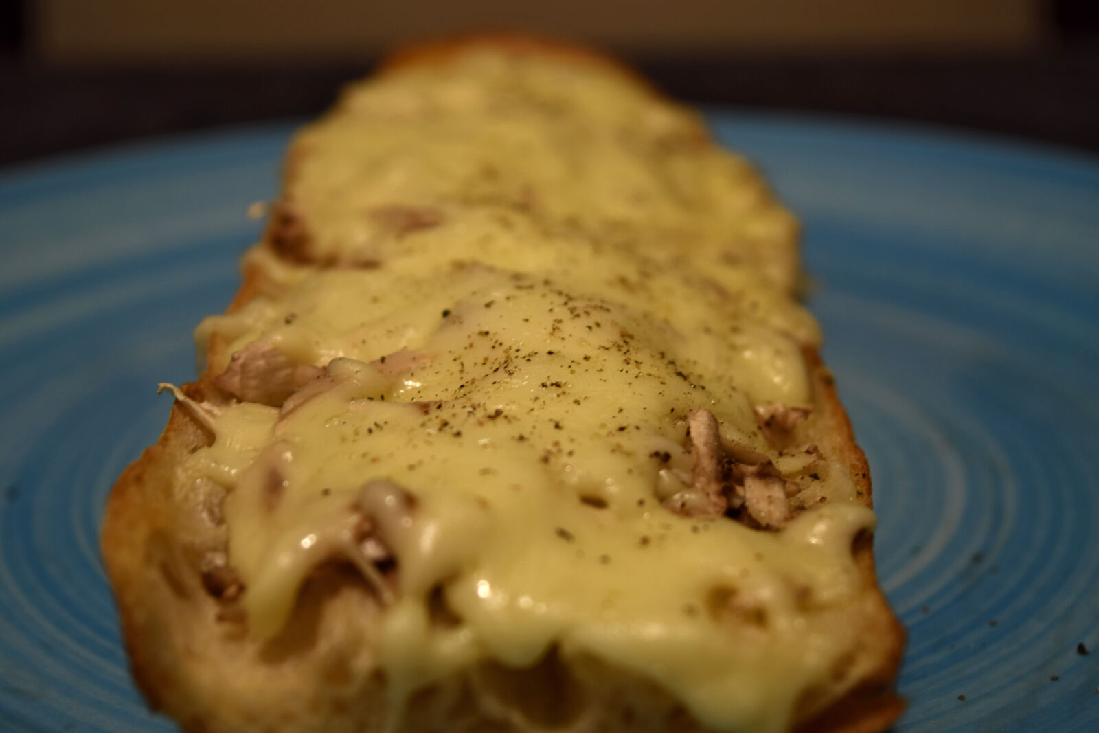 Nikon D3300 sample photo. Fast, food, homemade, memories photography