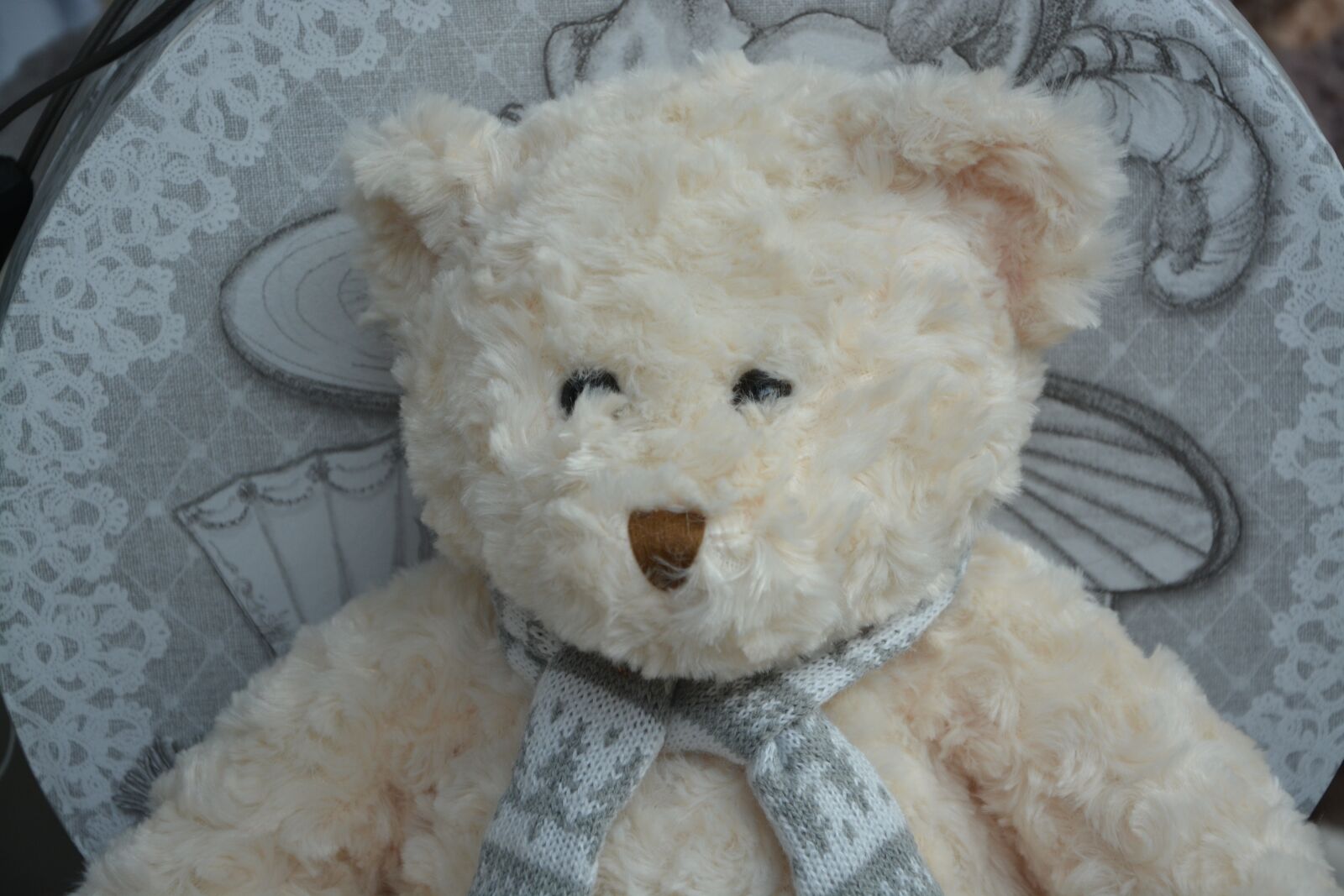 Nikon D5200 sample photo. Bear plush, doudou, hug photography