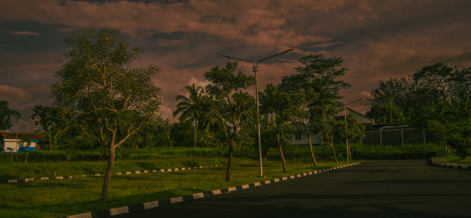 Nikon D3200 sample photo