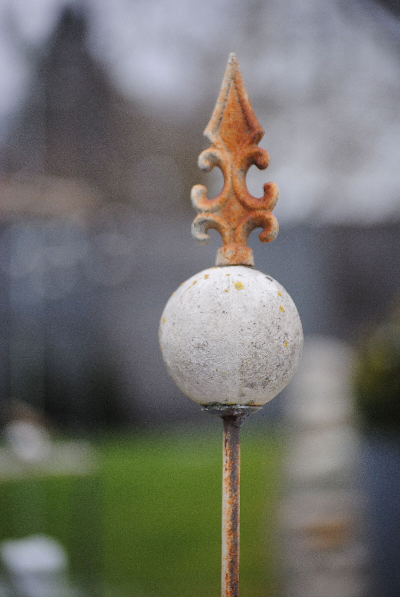 Nikon D3000 sample photo. Garden, decoration, ornament photography