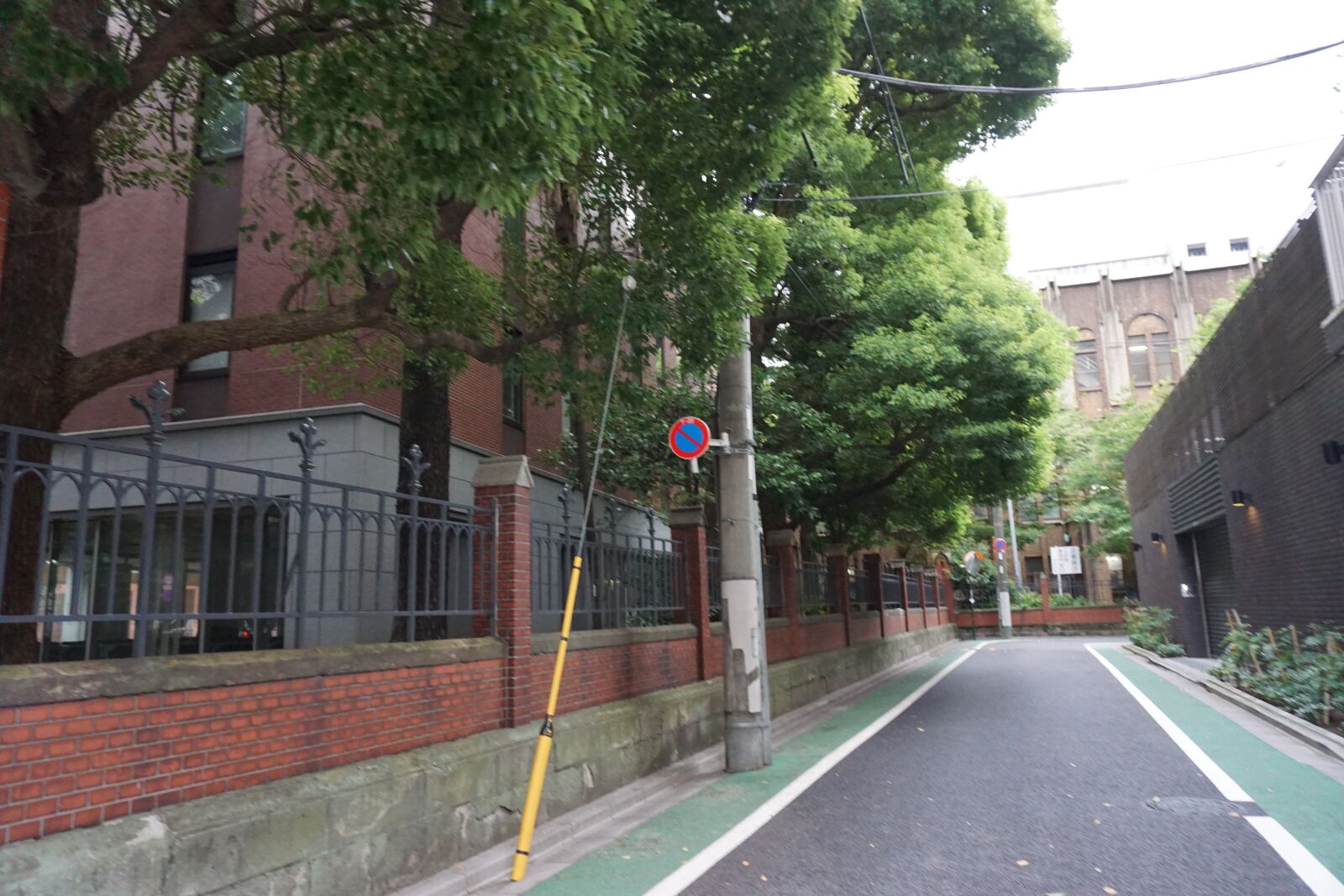 Sony a6000 sample photo. University of tokyo, tokyo photography