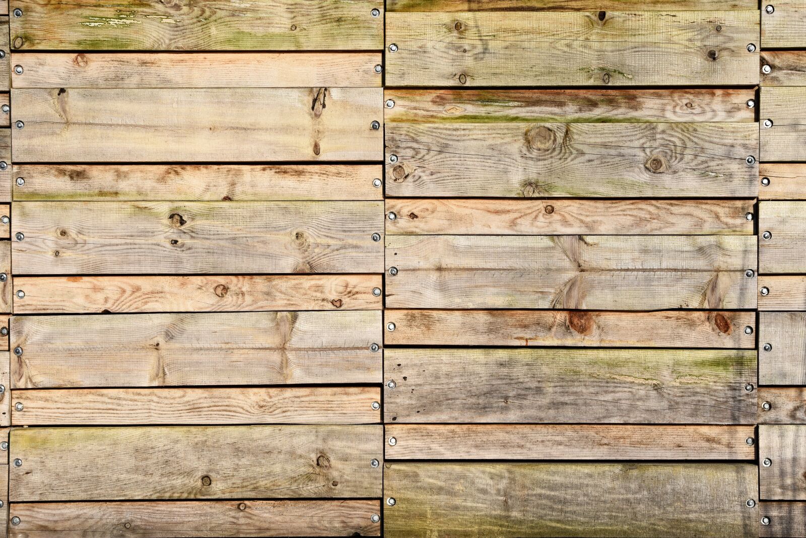 Nikon D750 sample photo. Wooden fence, fence, wood photography