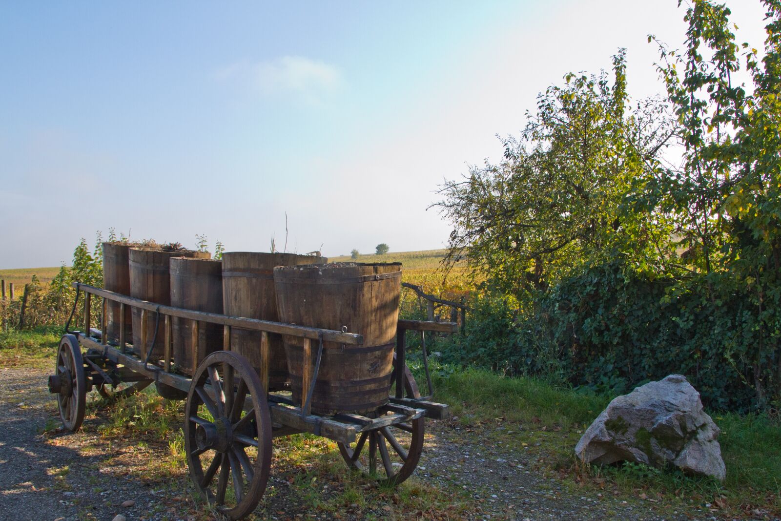 Canon EOS 7D sample photo. Cart, winemaker, winegrowing photography