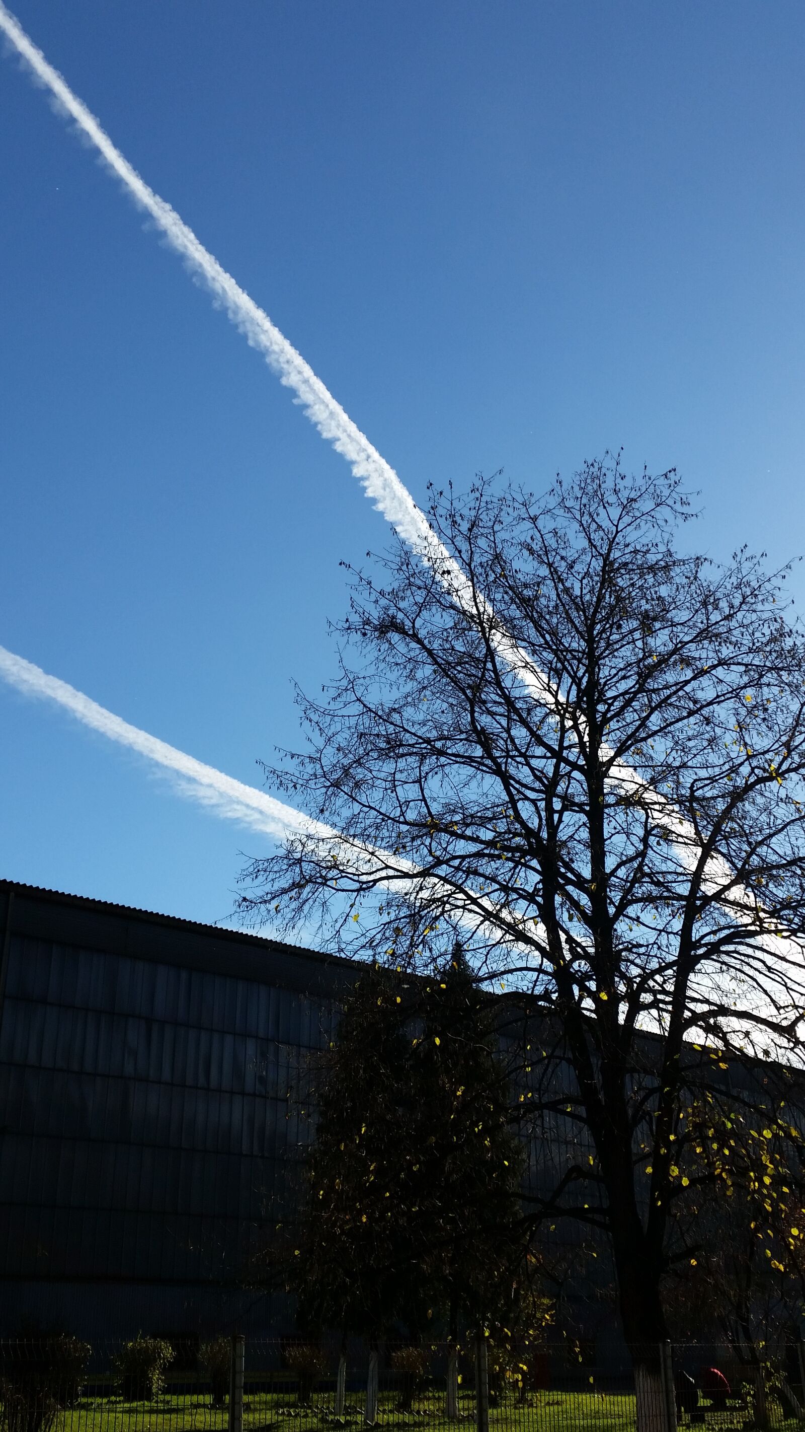 Samsung Galaxy S5 sample photo. Tree, chemtrails, trails photography