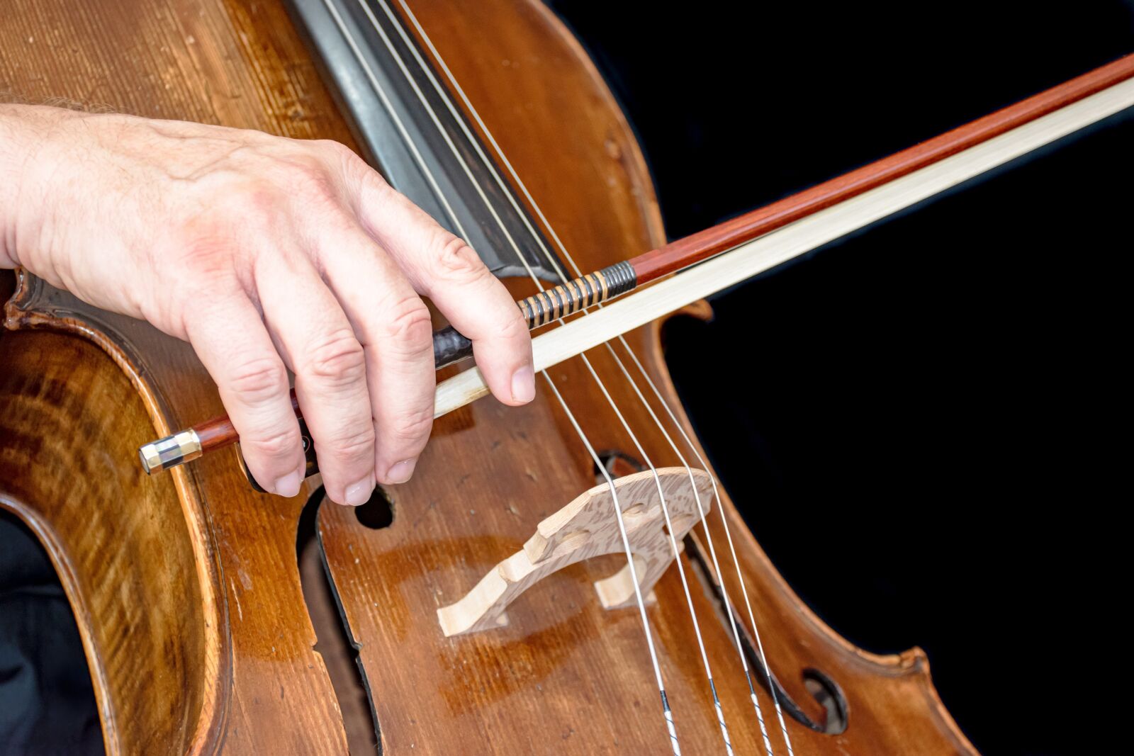 Nikon D5600 sample photo. Cello, old, instrument photography
