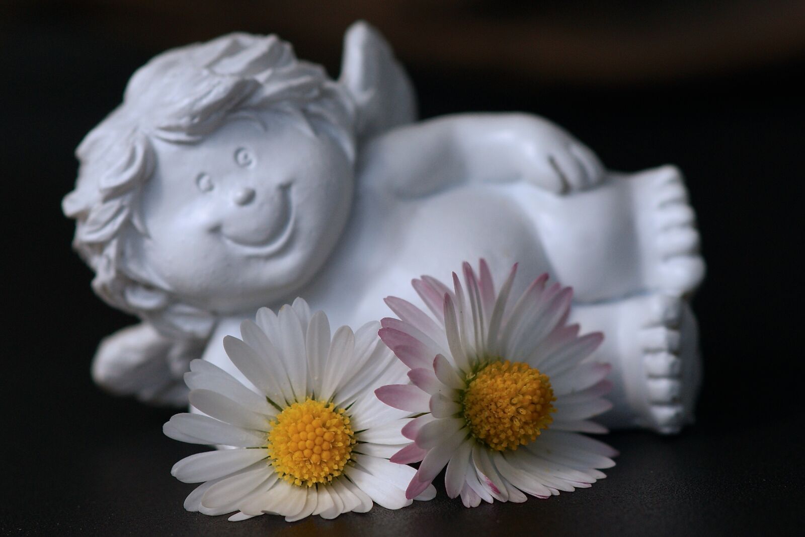 Sony Alpha DSLR-A350 sample photo. Guardian angel, daisy, cheerful photography