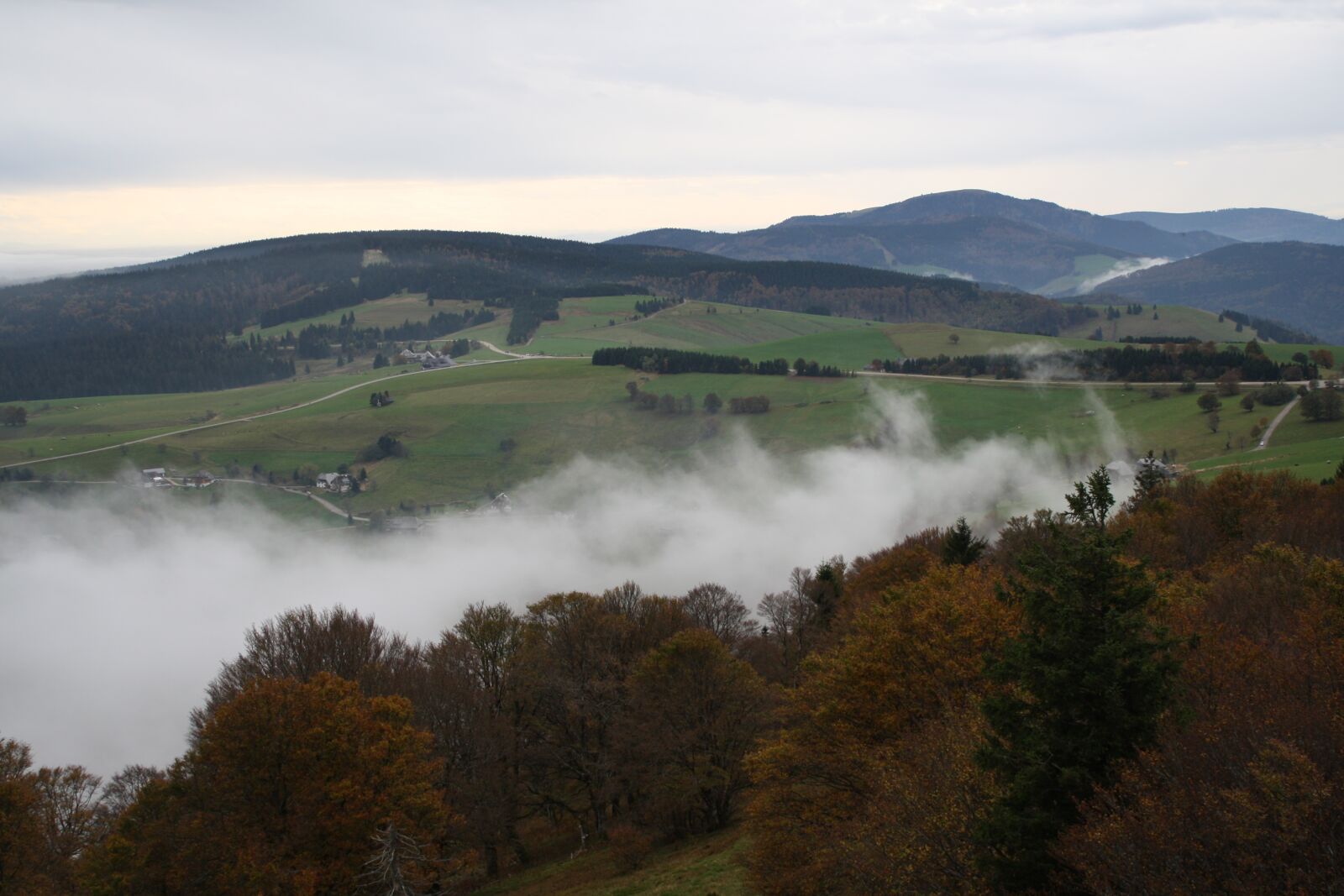 Canon EOS 1000D (EOS Digital Rebel XS / EOS Kiss F) sample photo. Fog, black-forest, landscape photography