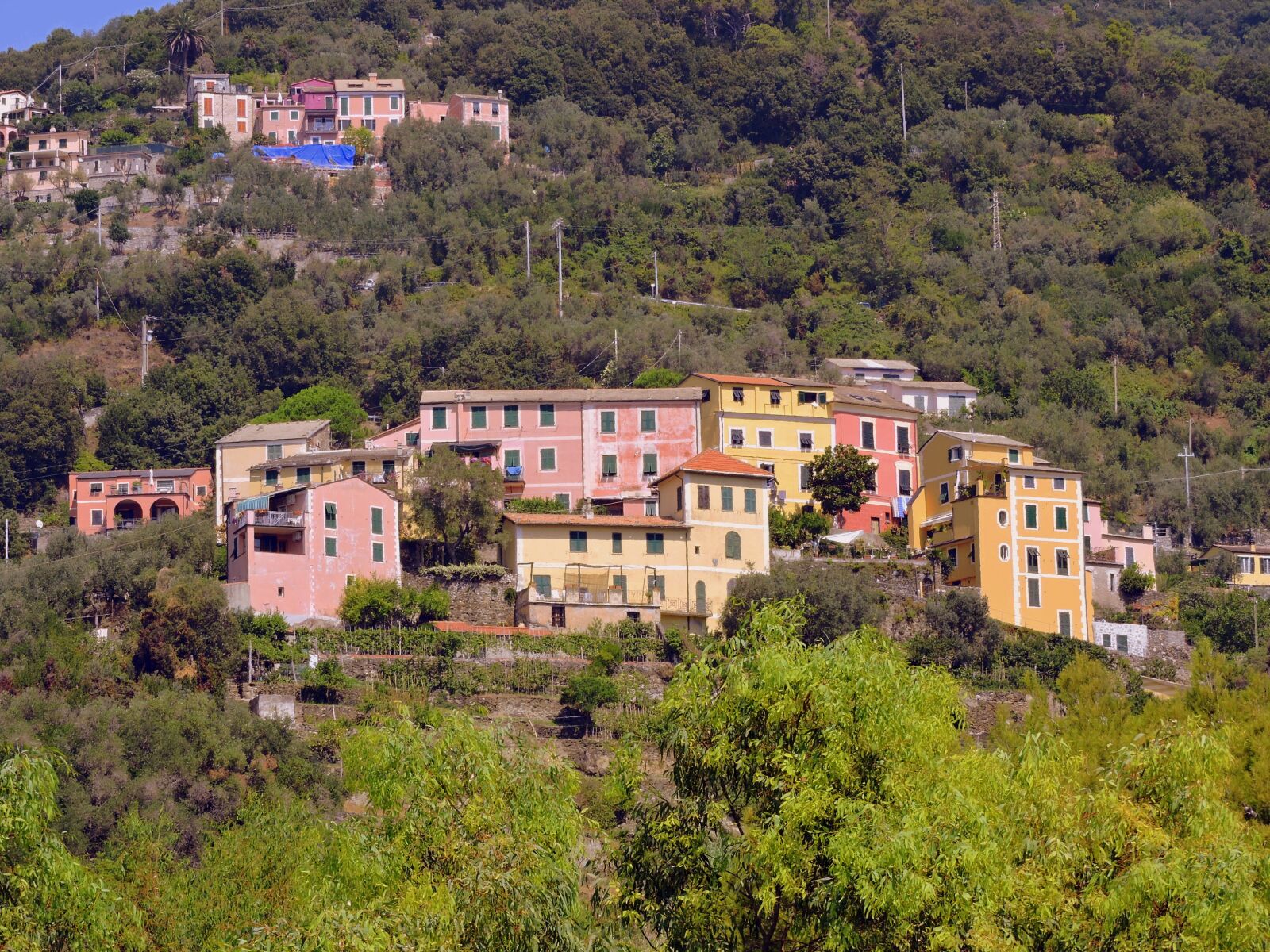 Nikon Coolpix P600 sample photo. Colourful houses, cinque terre photography