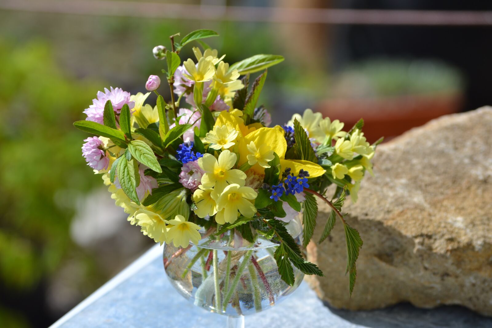 Nikon D3100 sample photo. Vase, flowers, bouquet photography