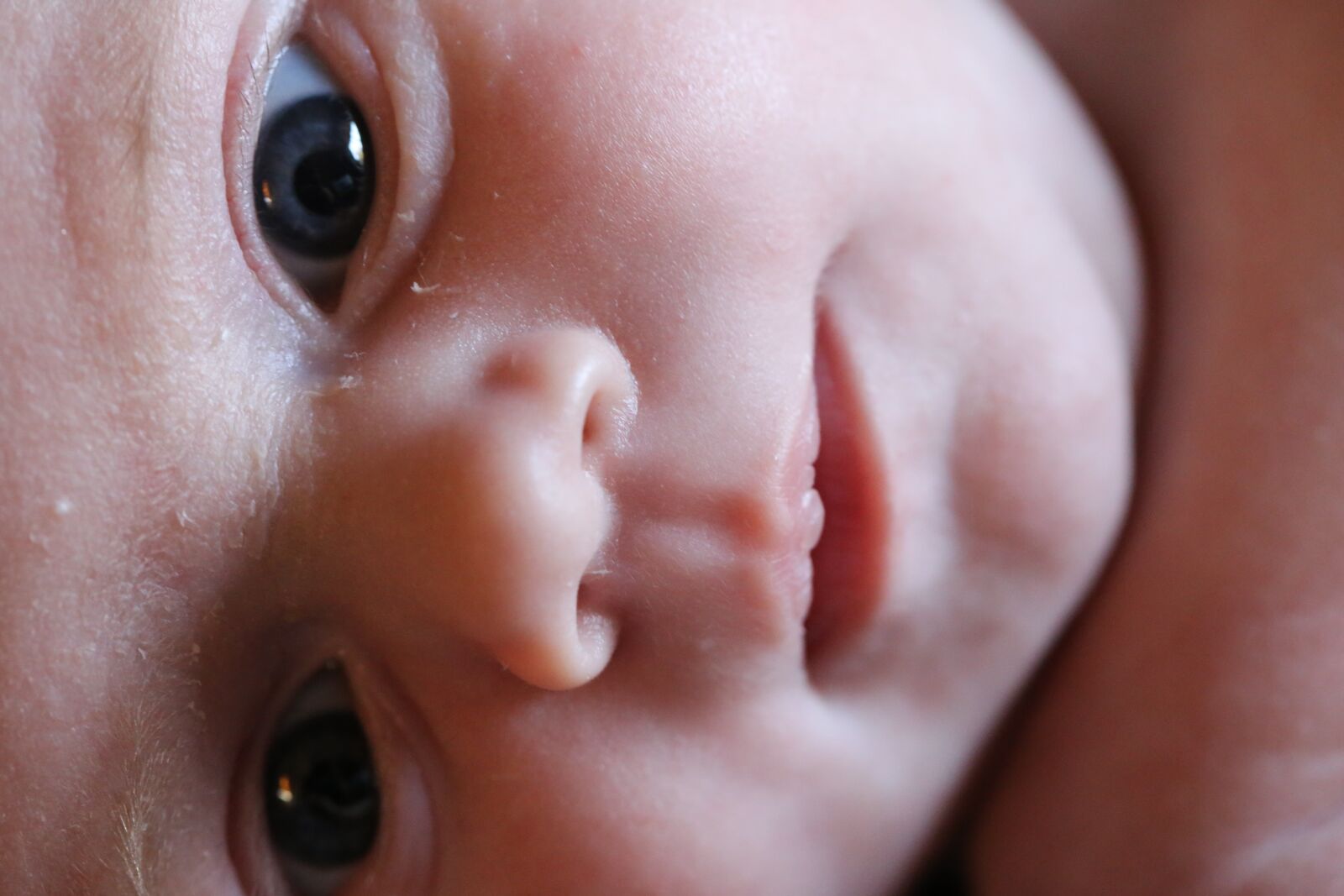 Canon EF 100mm F2.8L Macro IS USM sample photo. New born baby, eyes photography