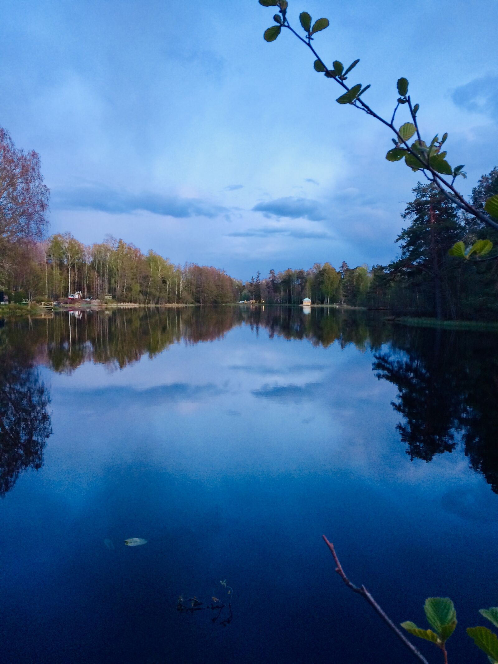 iPhone 5s back camera 4.15mm f/2.2 sample photo. Nature, dust, mirroring photography