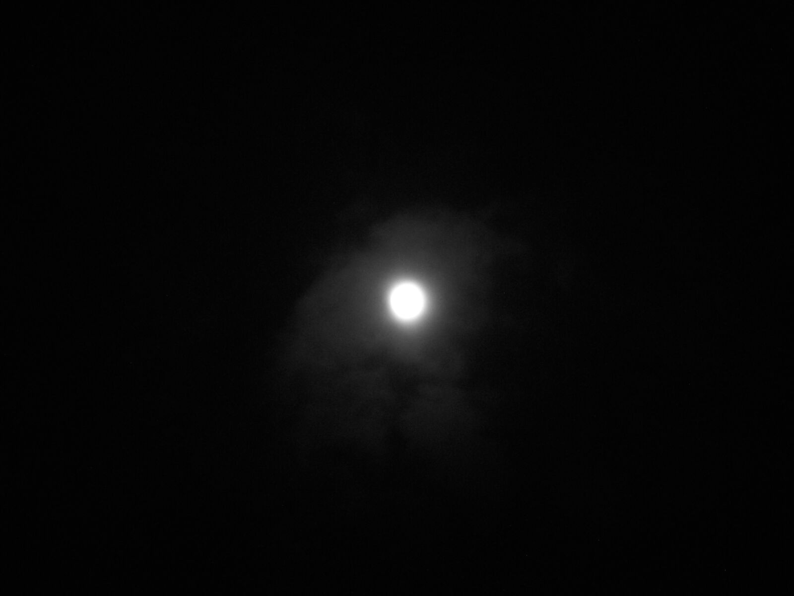 Nikon Coolpix S52 sample photo