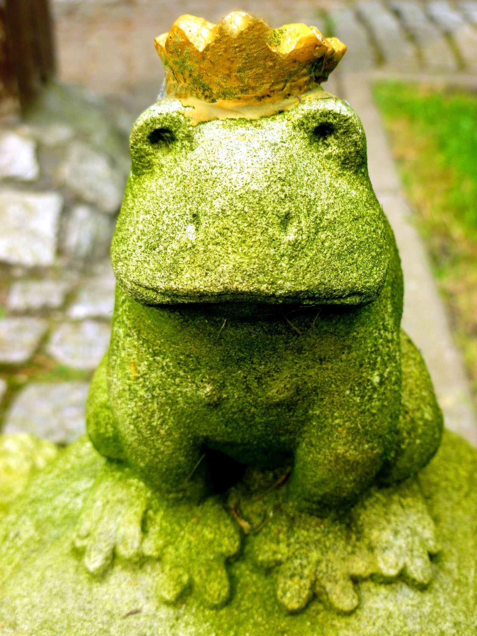 Panasonic DMC-FS37 sample photo. Frog prince, fairy tales photography