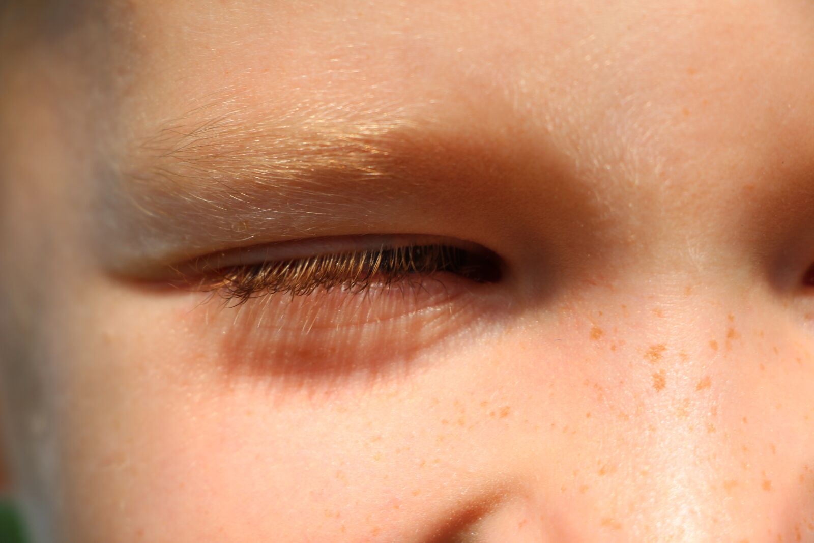 Canon EOS 700D (EOS Rebel T5i / EOS Kiss X7i) sample photo. Eye, eyebrow, nose photography