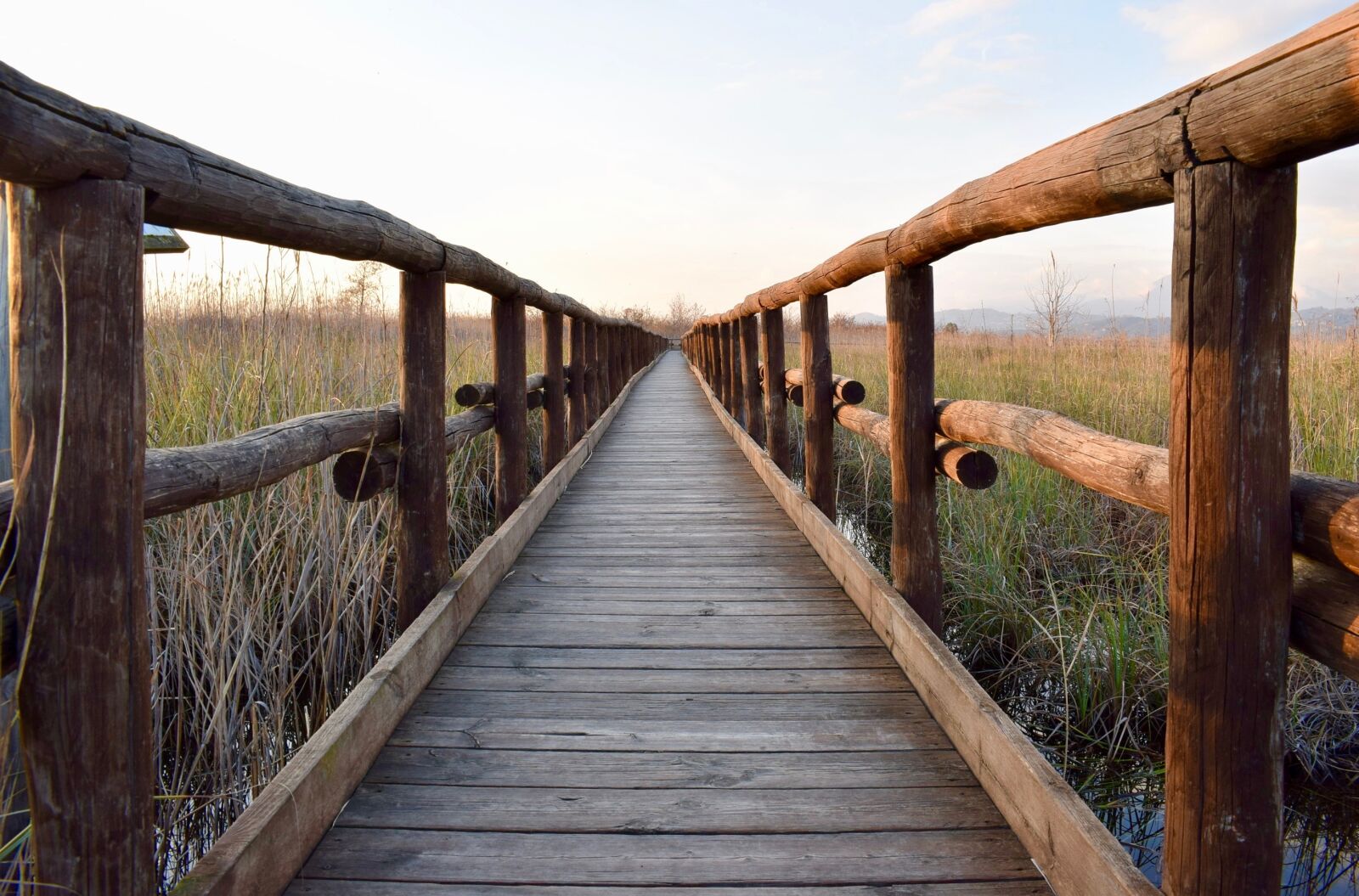 Nikon D3300 sample photo. Wooden footbridge, footbridge, wooden photography