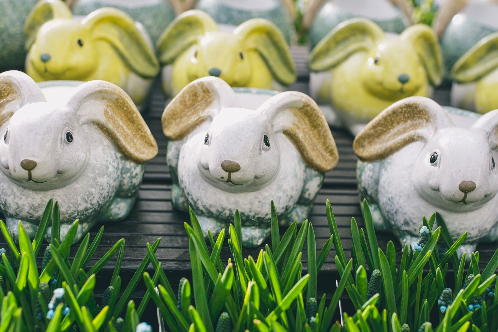 Sony ILCA-77M2 sample photo. Easter, decoration, spring photography