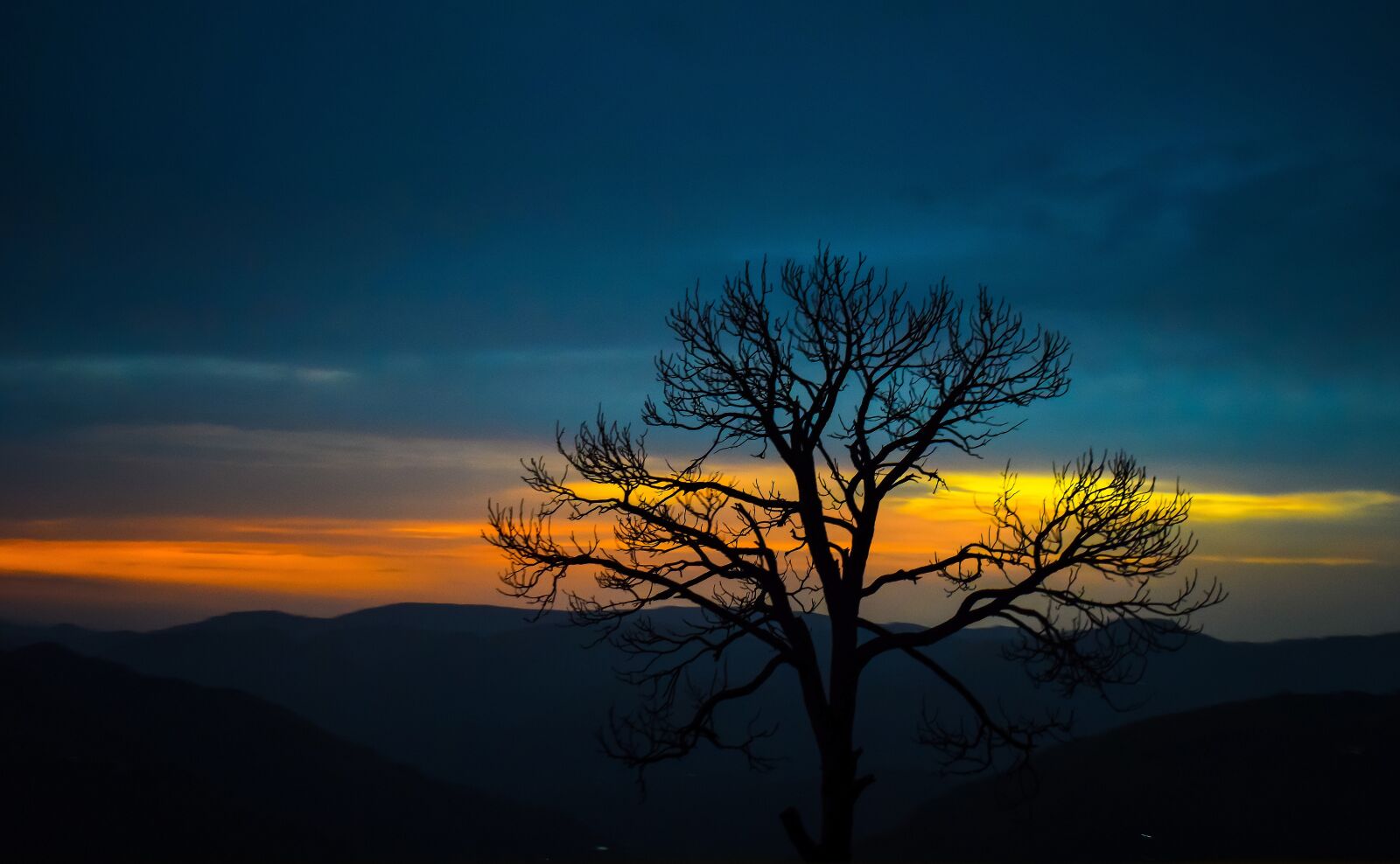 Nikon D5300 sample photo. Tree, mountain, sky photography