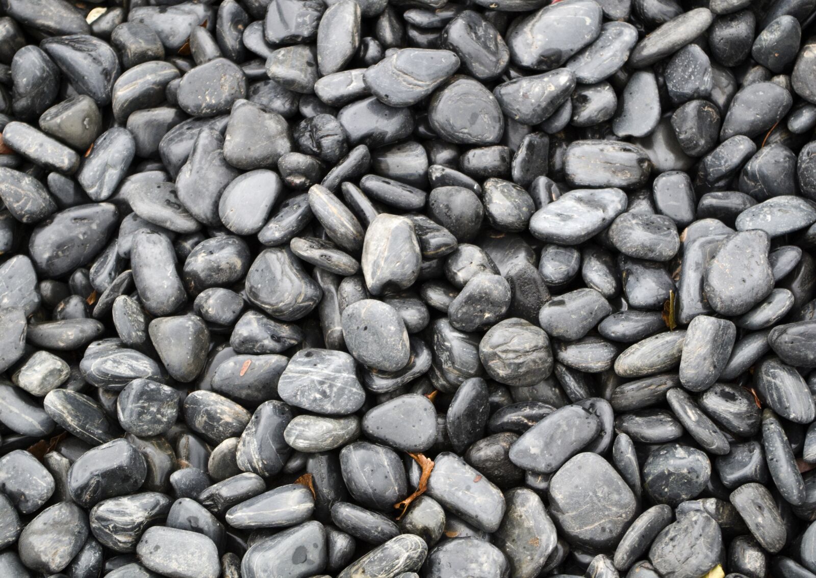 Pentax K-30 sample photo. Batch, texture, approach photography