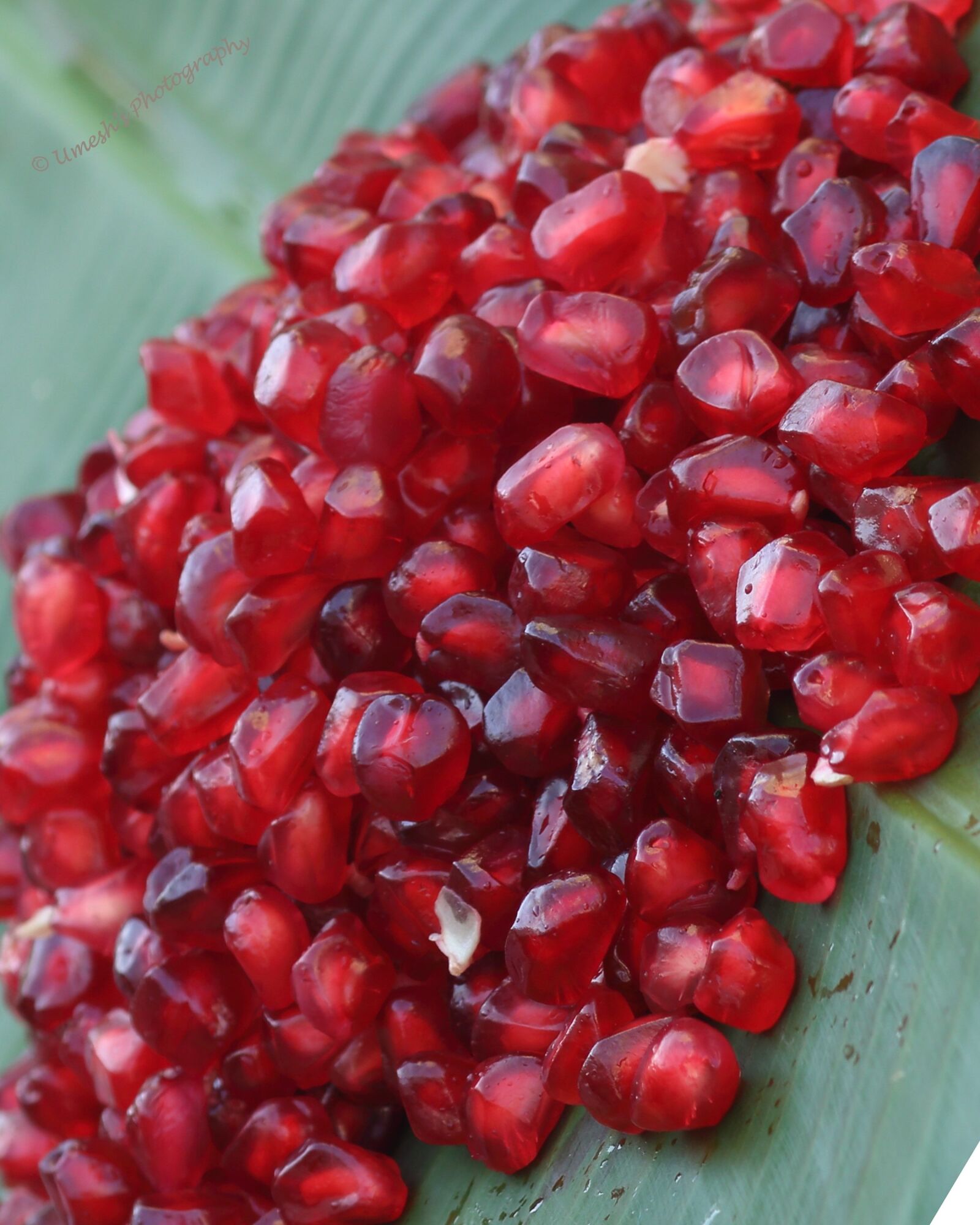 Canon EOS 70D sample photo. Pomegranate seeds, pomegranate, seeds photography