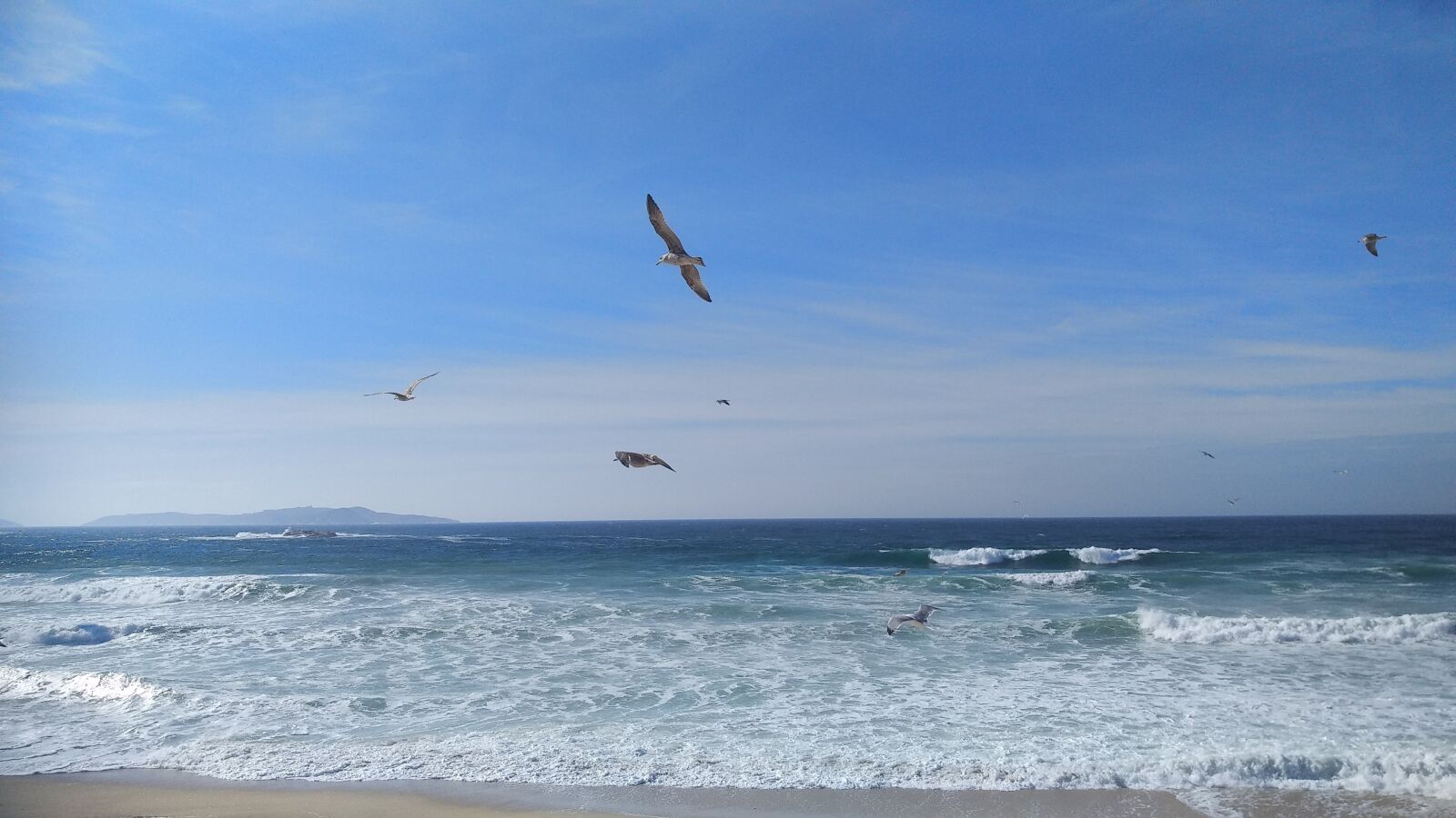 Xiaomi MI MAX 2 sample photo. Sea, seagulls, blue sky photography