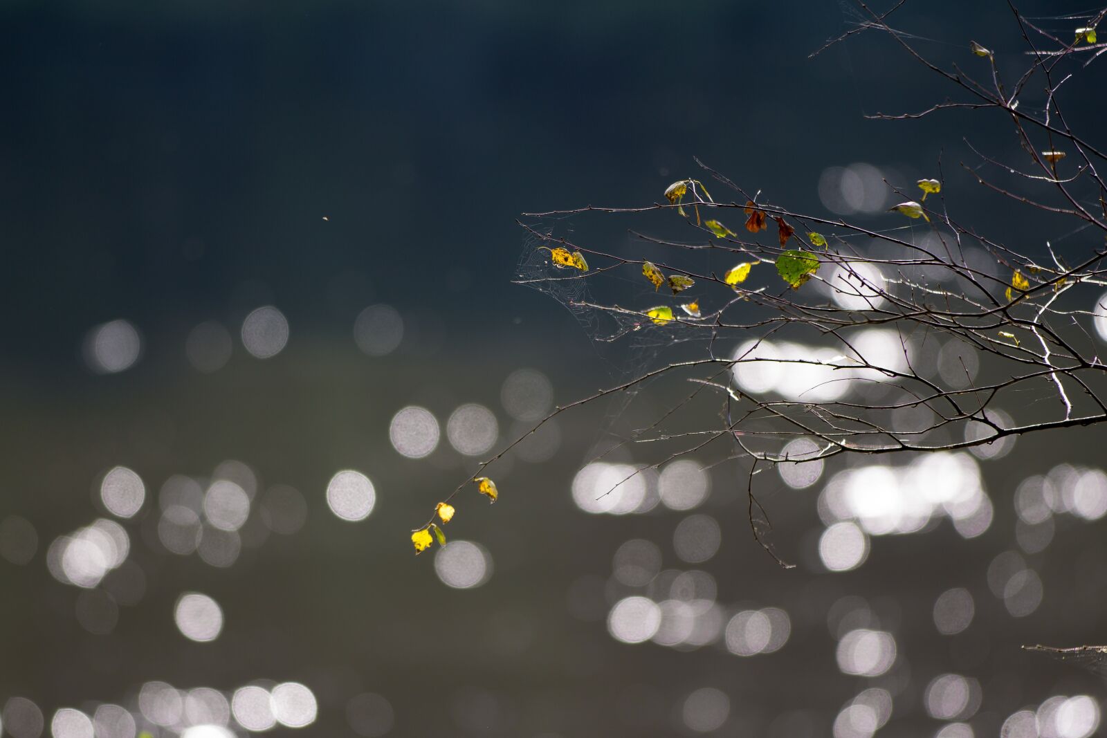 Canon EOS 60D sample photo. Autumn, water, river photography
