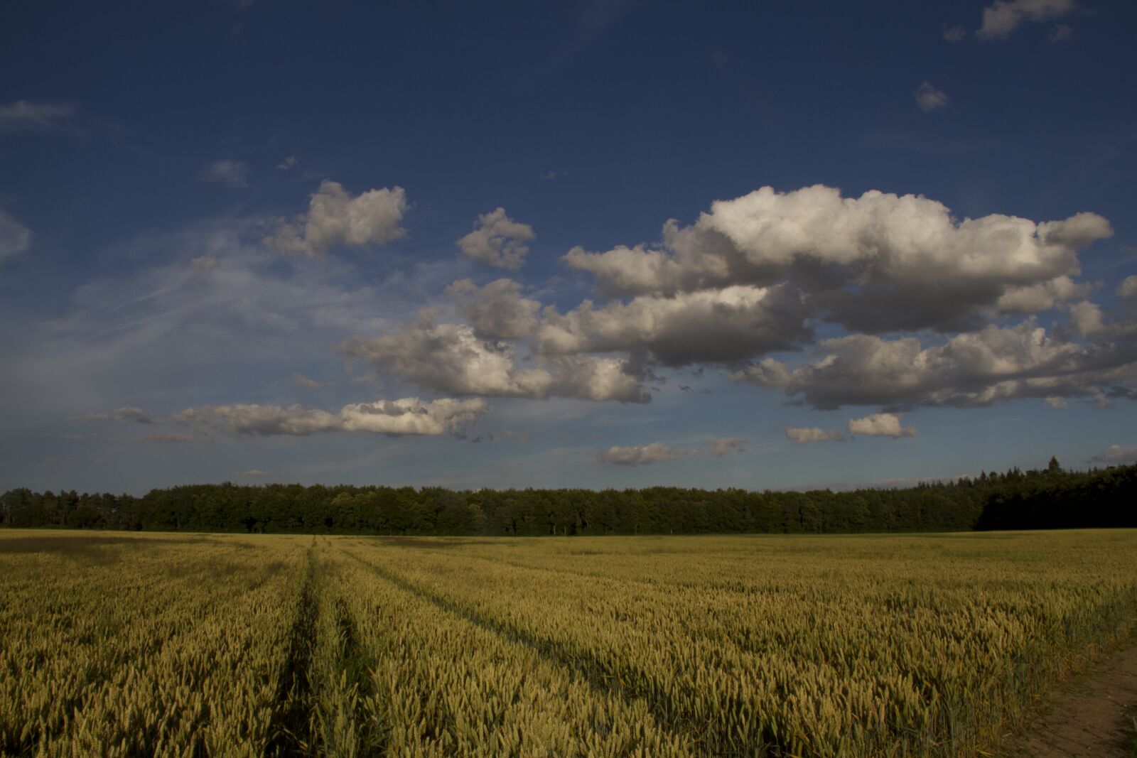 Canon EOS 7D sample photo. Harvest, field, agriculture photography