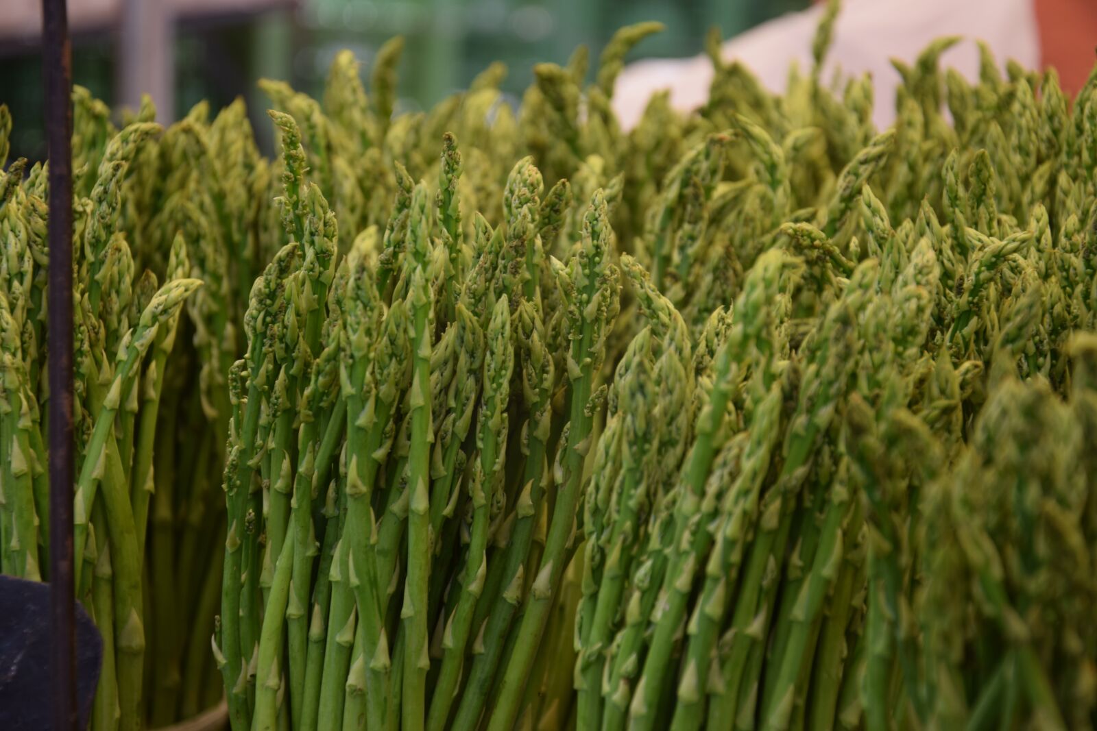 Nikon D5300 sample photo. Green asparagus, naschmarkt, vienna photography