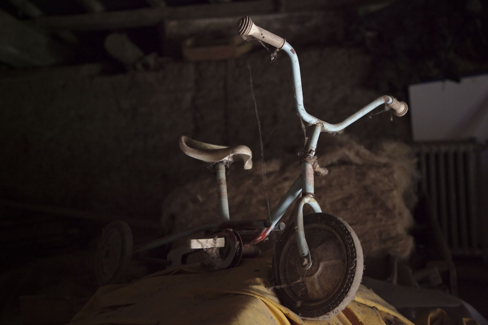 Canon EOS 5D Mark II sample photo. Tricycle, old, spider webs photography