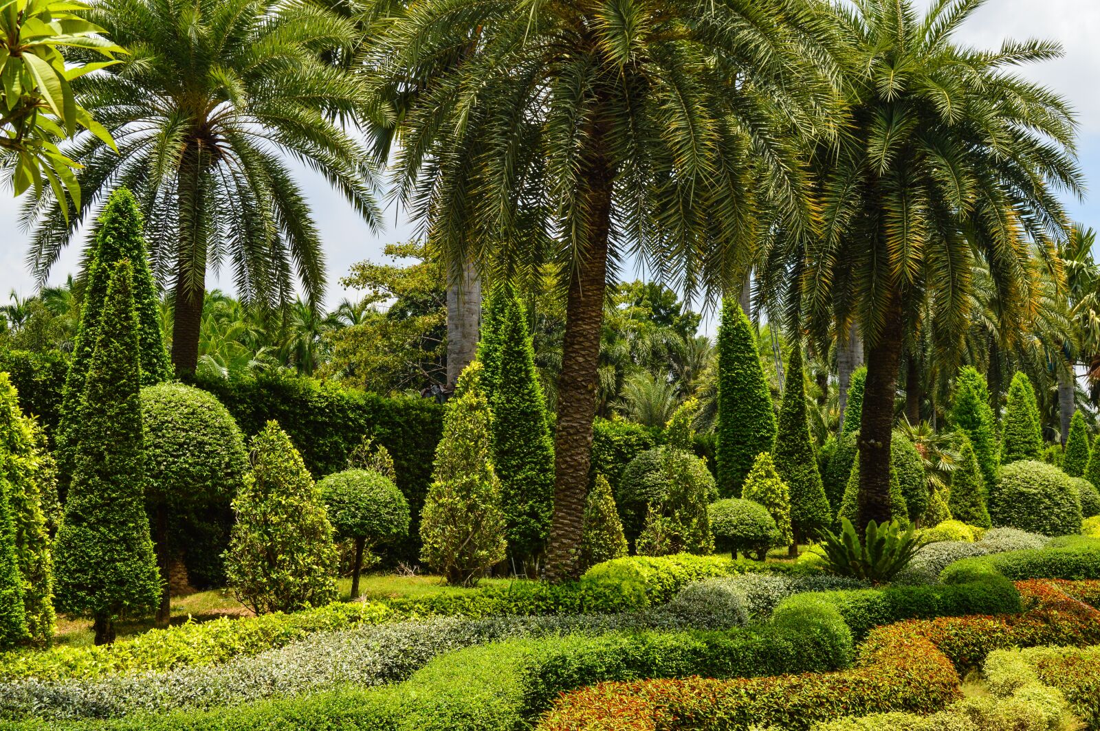 Nikon D3200 sample photo. Park, tropics, garden photography