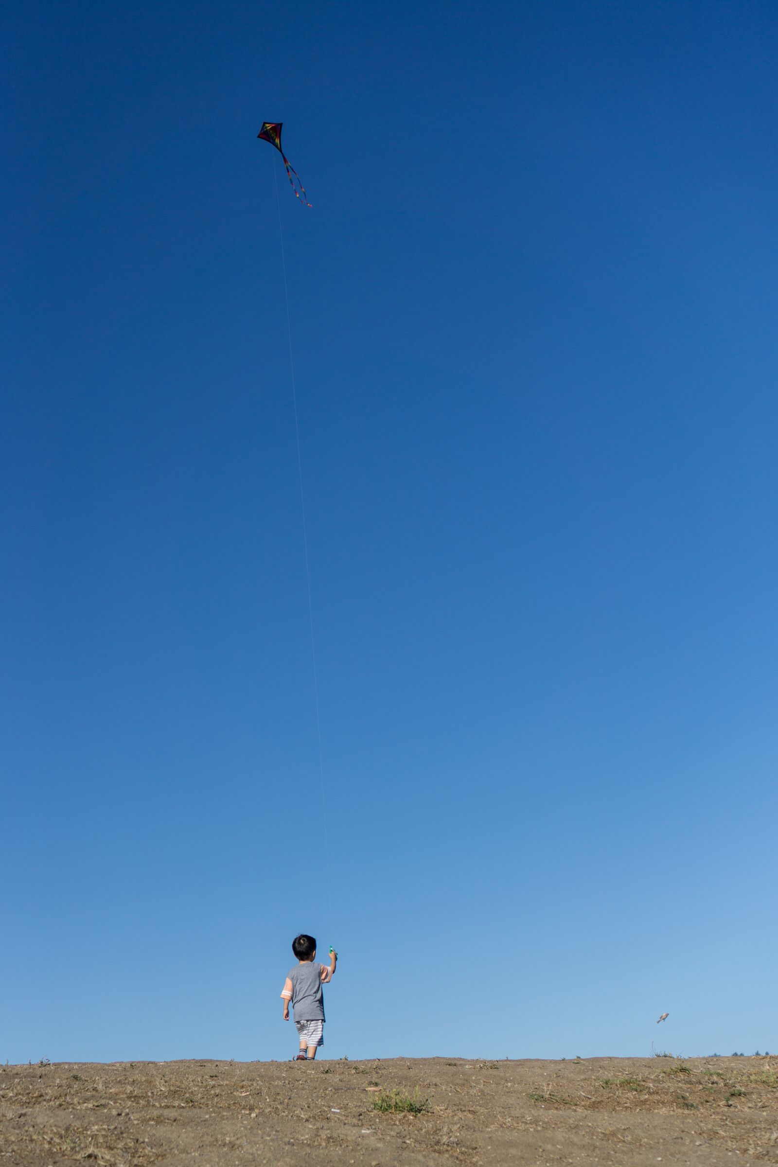 Sony a6000 + Sony E 35mm F1.8 OSS sample photo. Kite, sky, blue photography