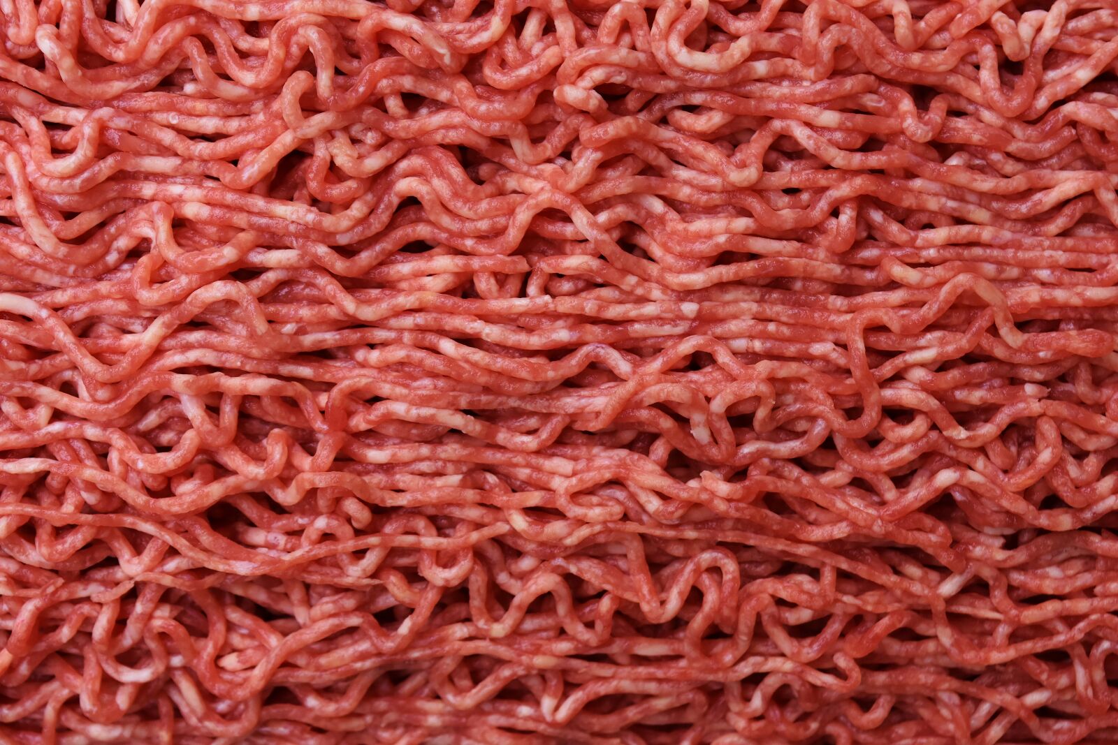 Nikon D7200 sample photo. Minced meat, meat, minced photography