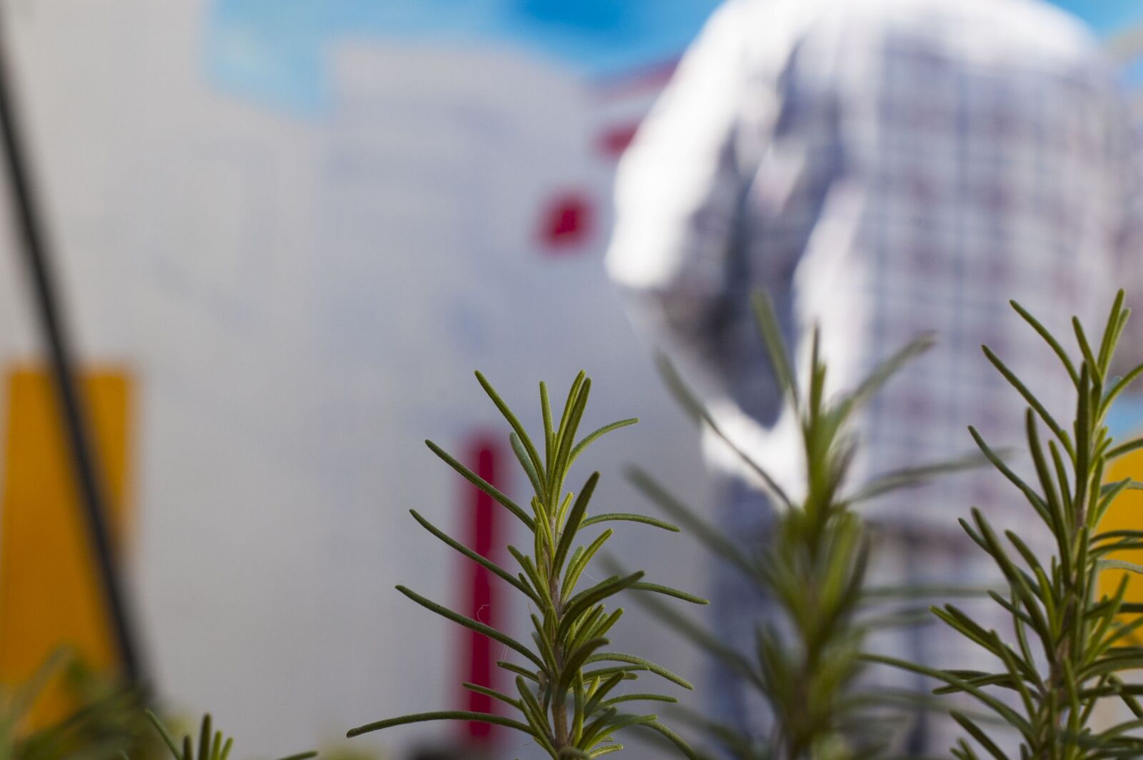 Nikon D50 sample photo. Painting, painter, paint photography