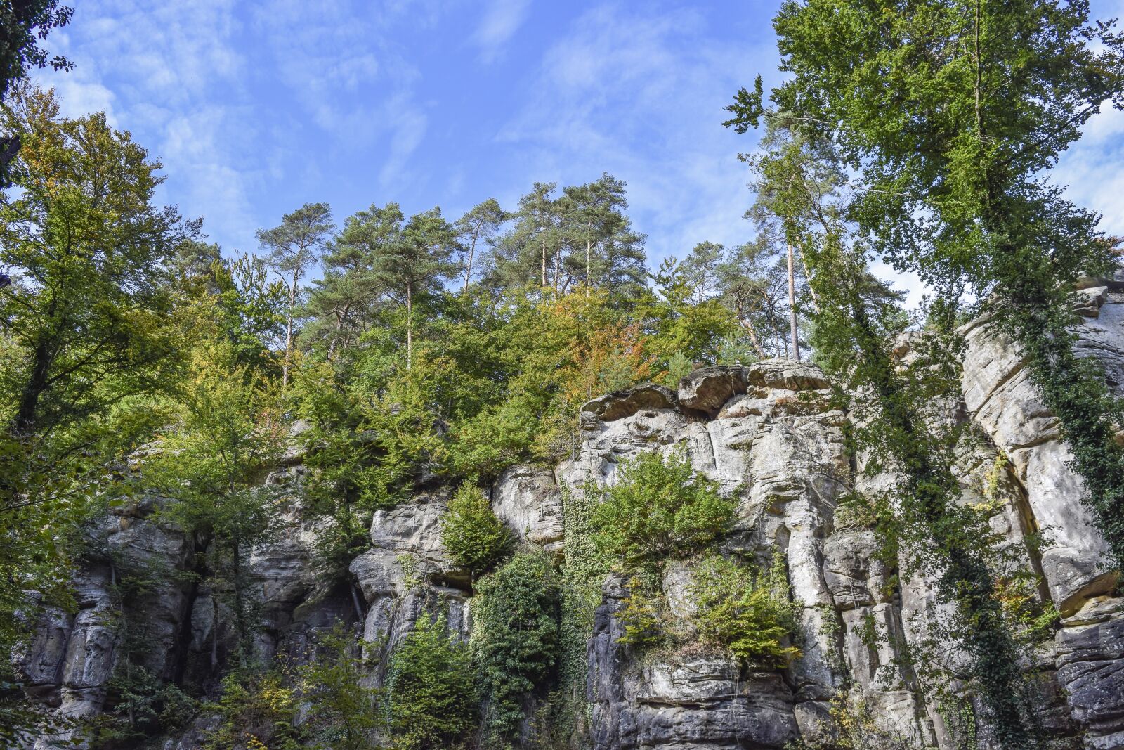 Nikon D3300 sample photo. Forest, nature, landscape photography