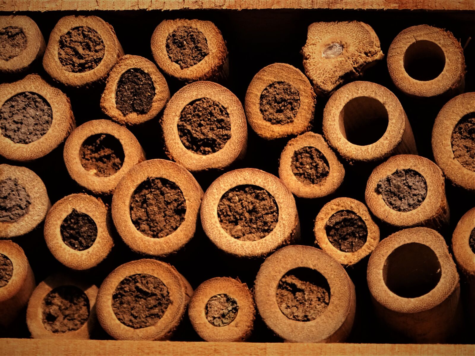 Sony Cyber-shot DSC-HX400V sample photo. Insects hotel, insects, summer photography