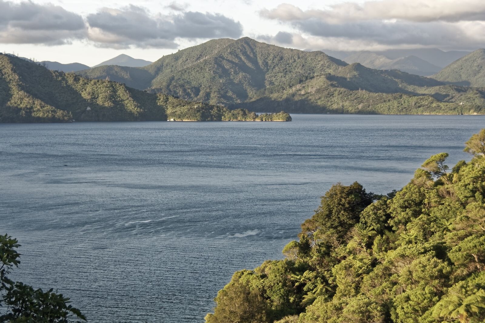 Nikon D500 sample photo. New zealand, ngakuta bay photography