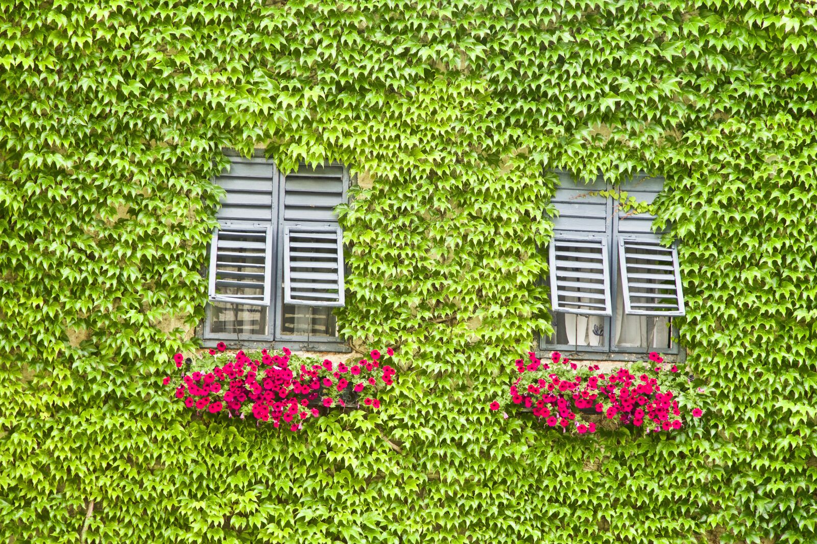 Sony a6500 sample photo. Windows, decoration, design photography