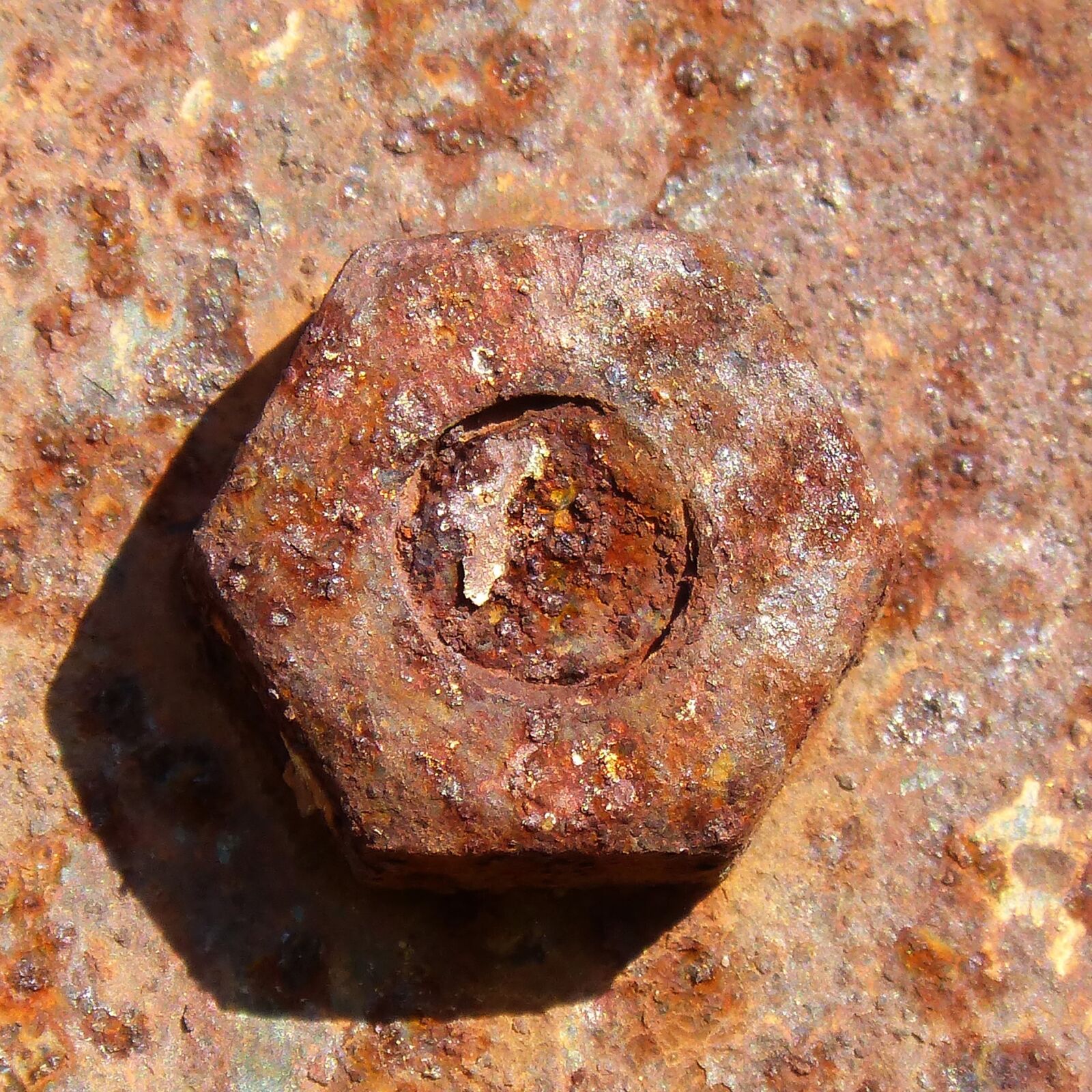 Panasonic DMC-FZ62 sample photo. Nut, old, rusty photography