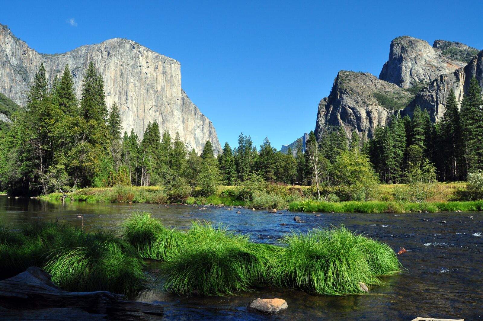 Nikon D5000 sample photo. Nature, yosemite national park photography